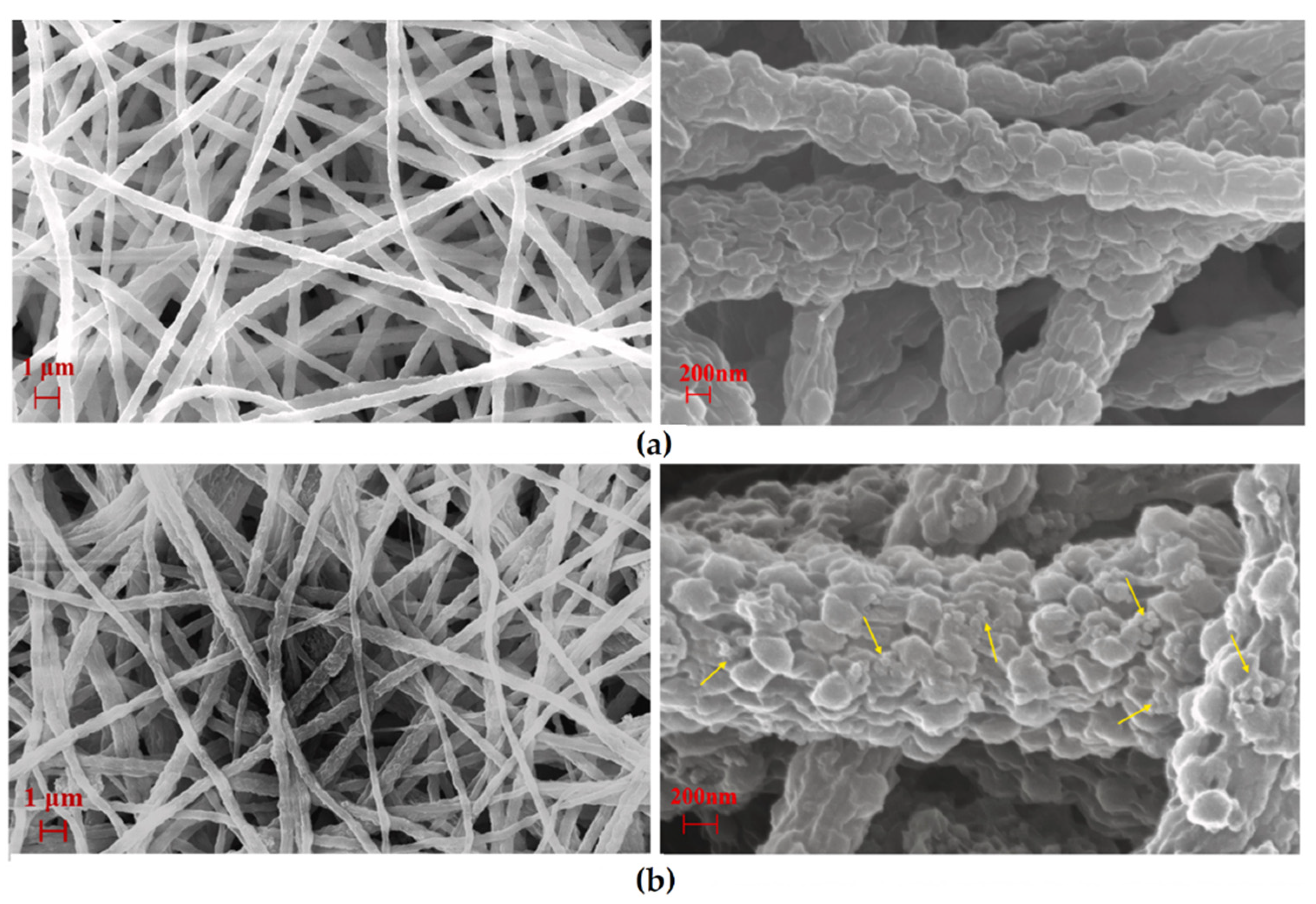 Nanomaterials 12 00756 g014