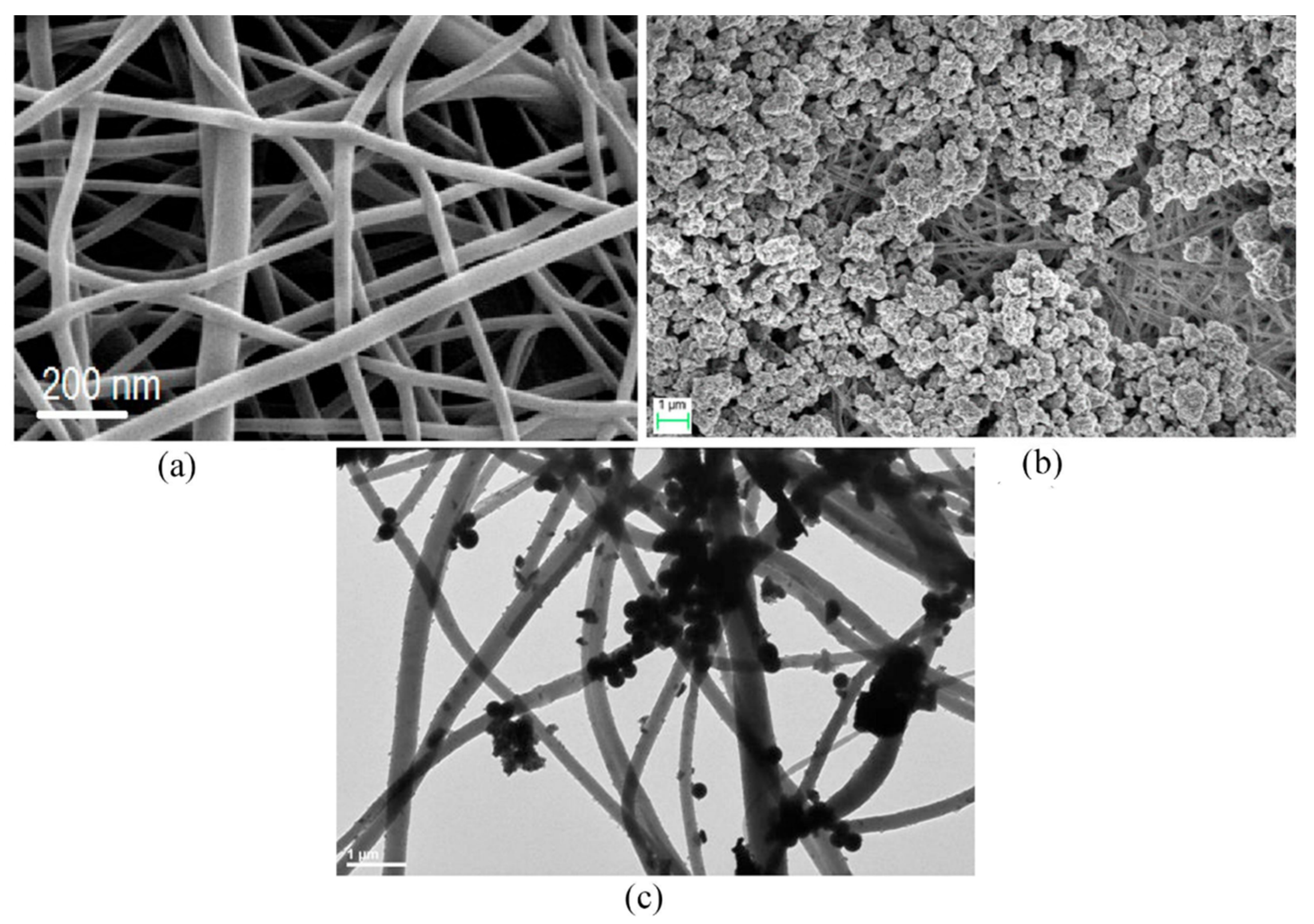 Nanomaterials 12 00756 g015