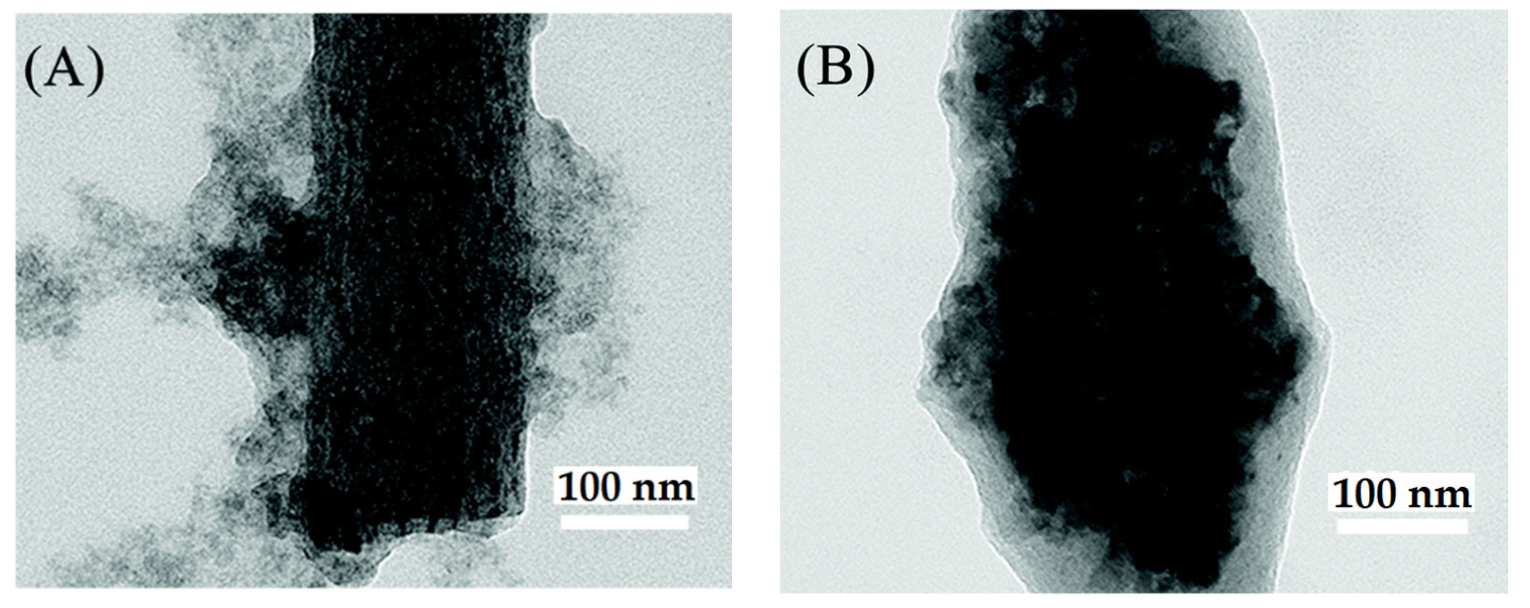 Nanomaterials 12 00756 g016