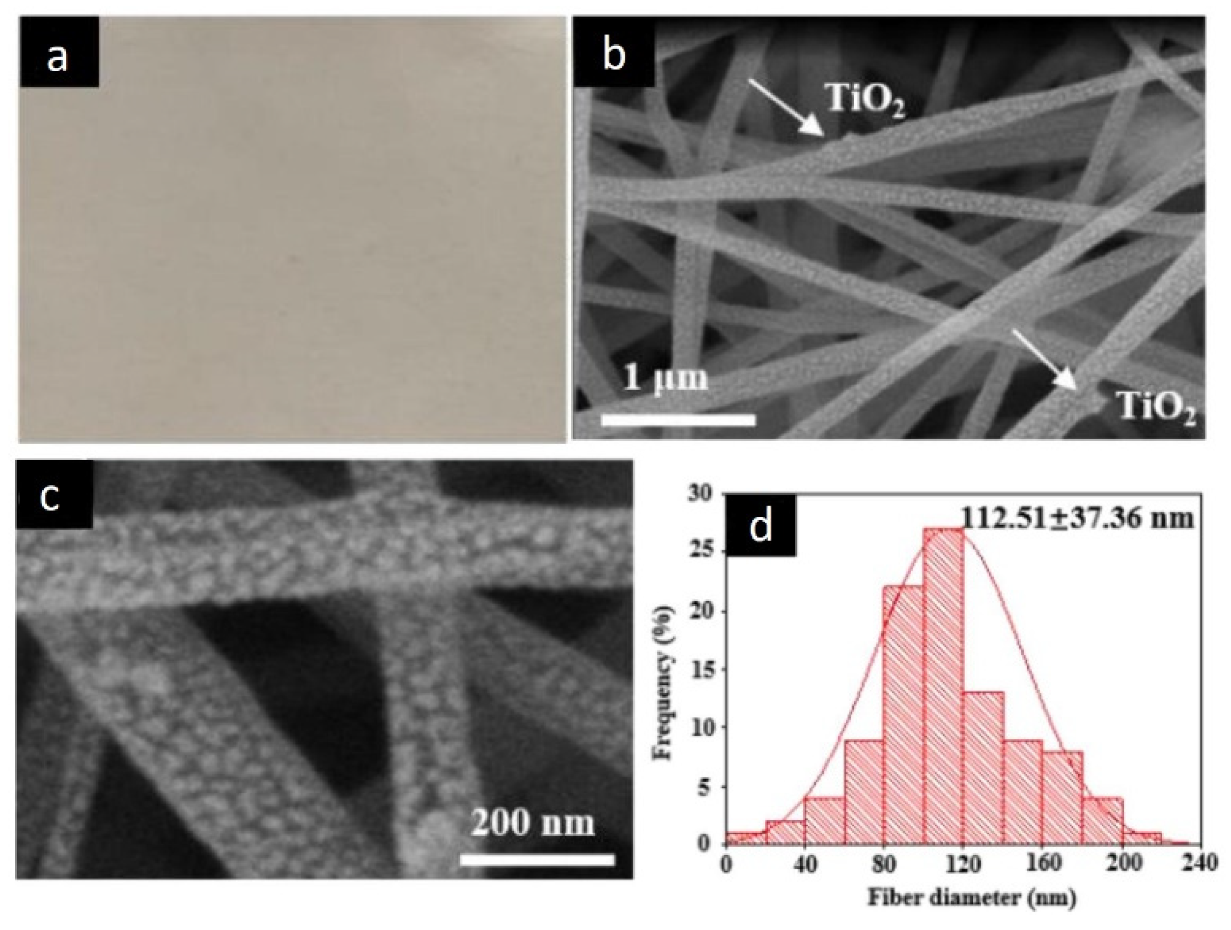 Nanomaterials 12 00756 g017