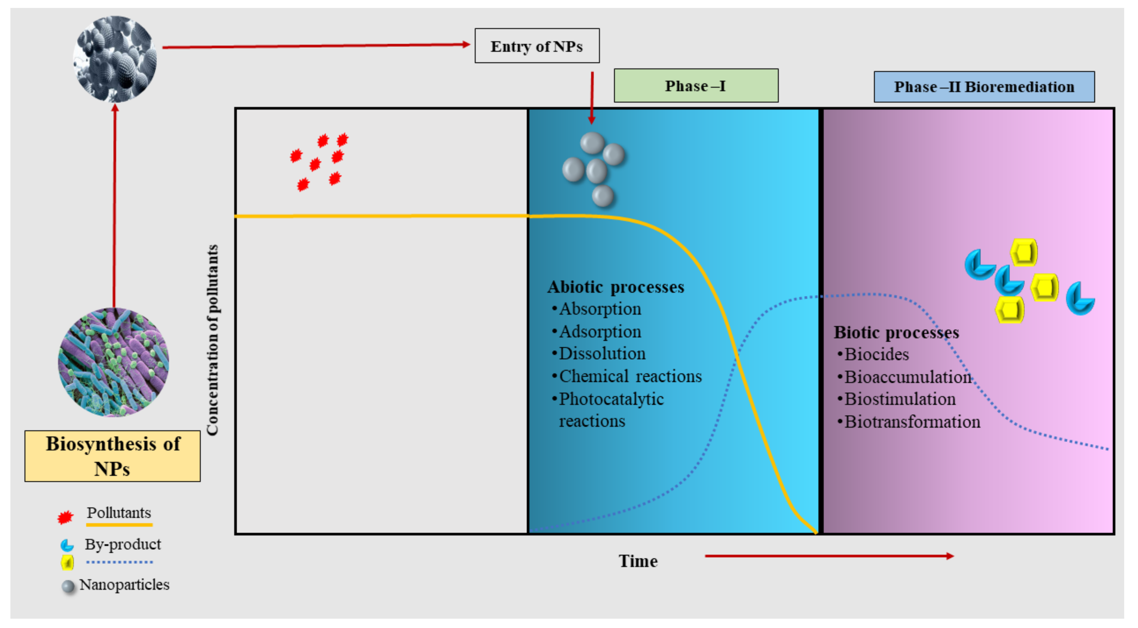 Nanomaterials 12 00769 g001