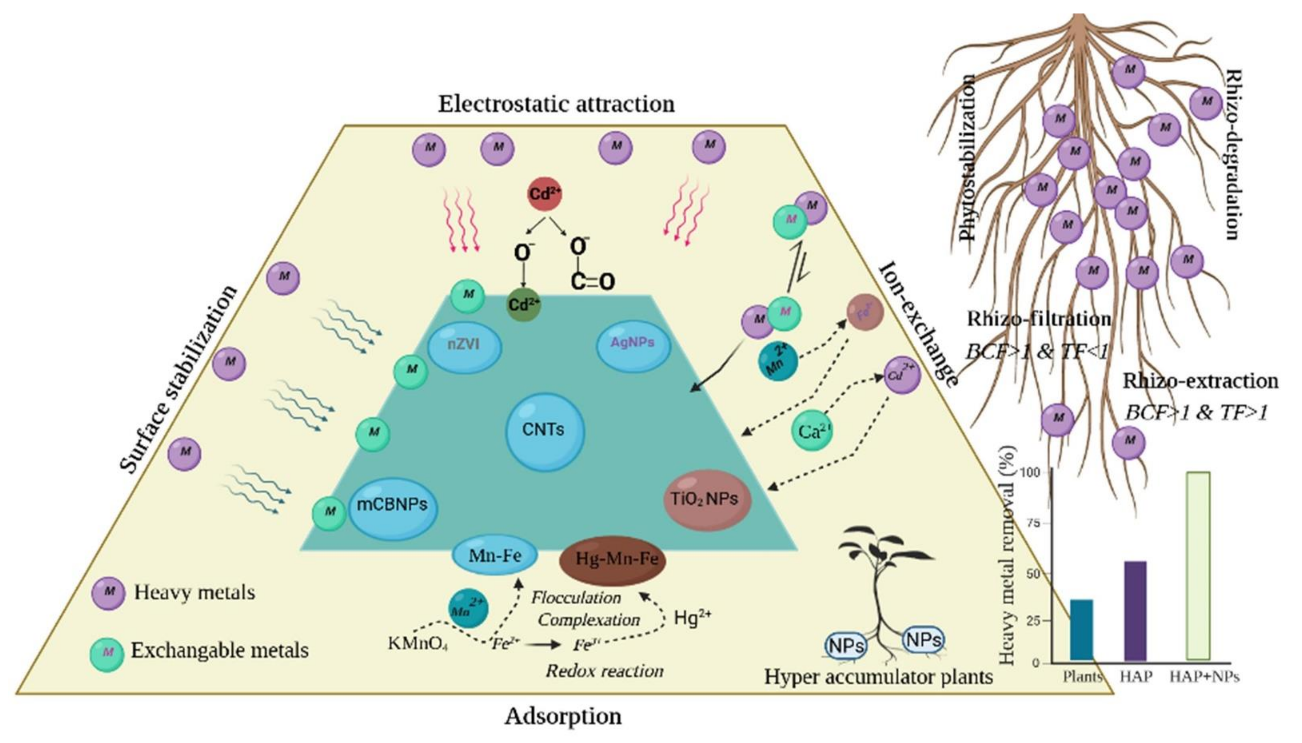 Nanomaterials 12 00769 g002