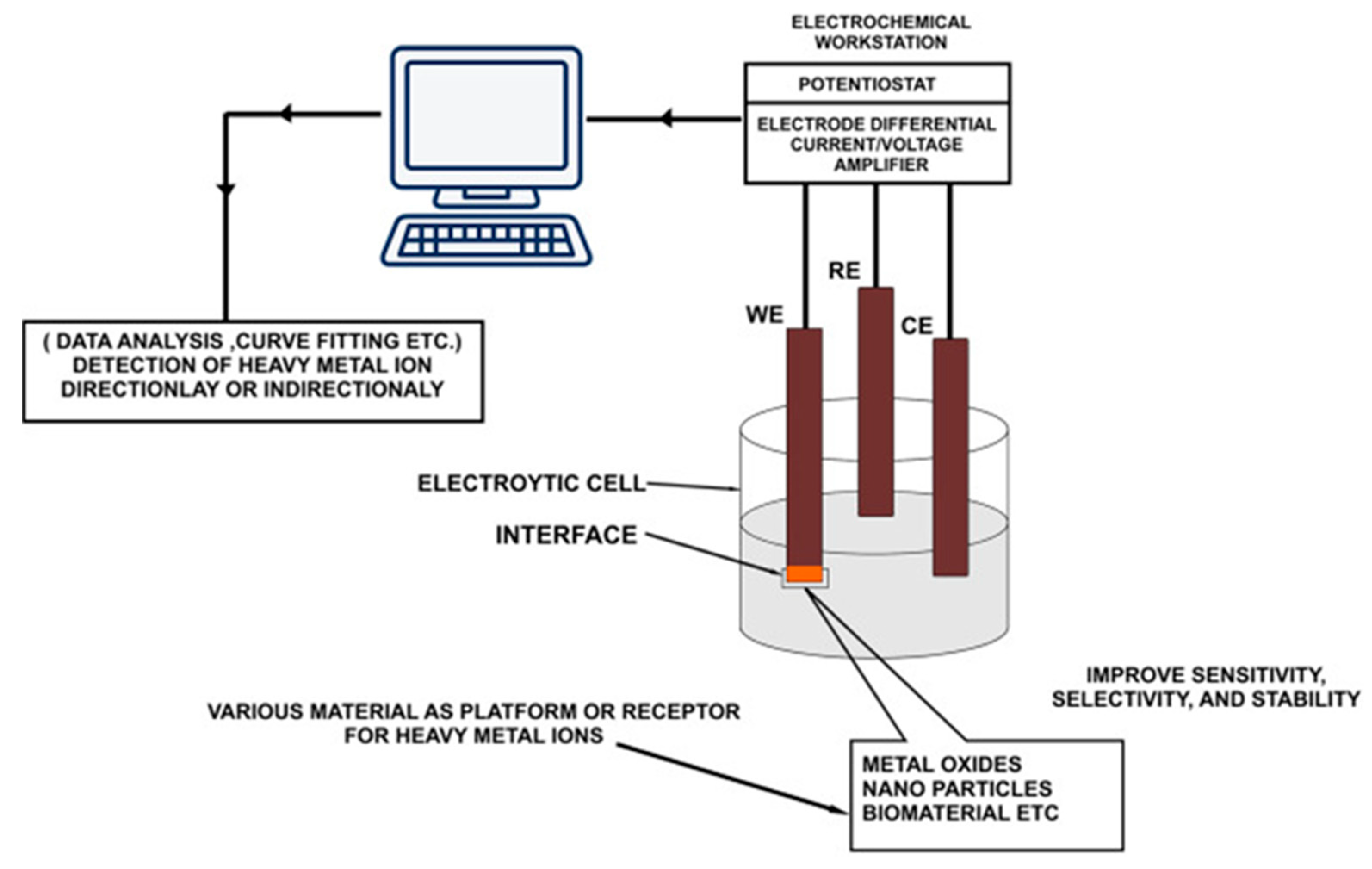 Nanomaterials 12 00781 g001