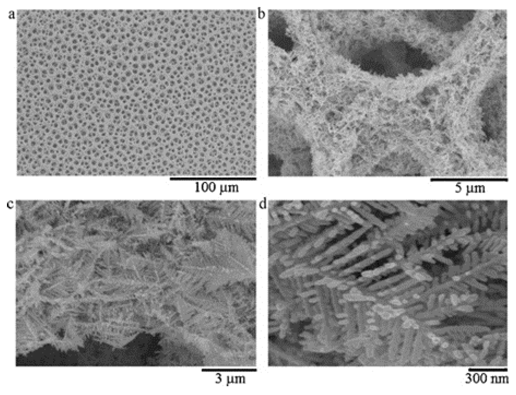 Nanomaterials 12 00781 g003