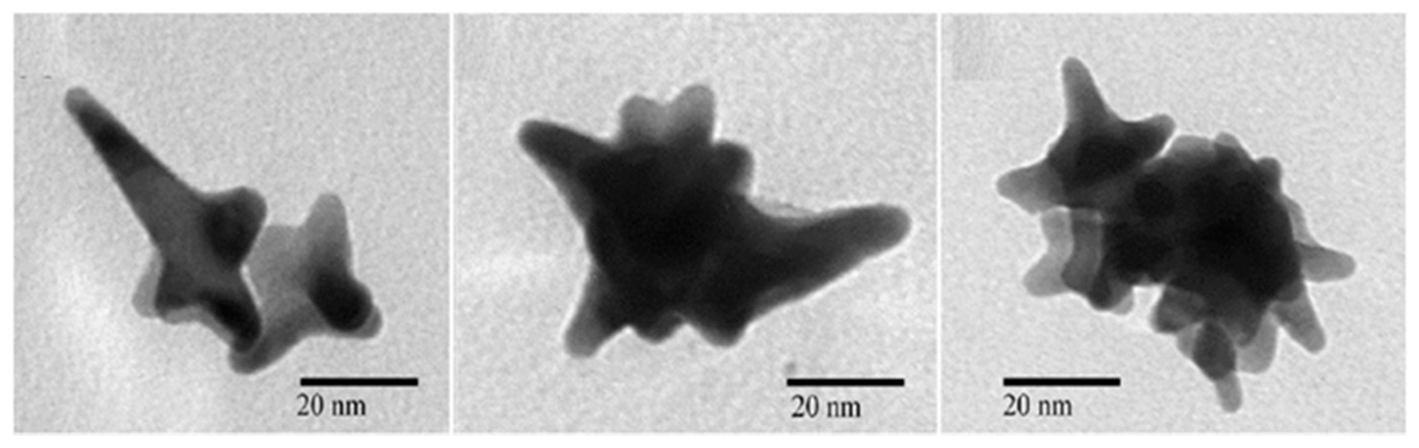 Nanomaterials 12 00781 g005