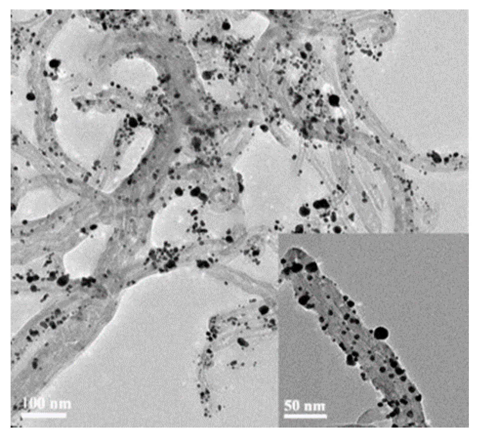 Nanomaterials 12 00781 g023