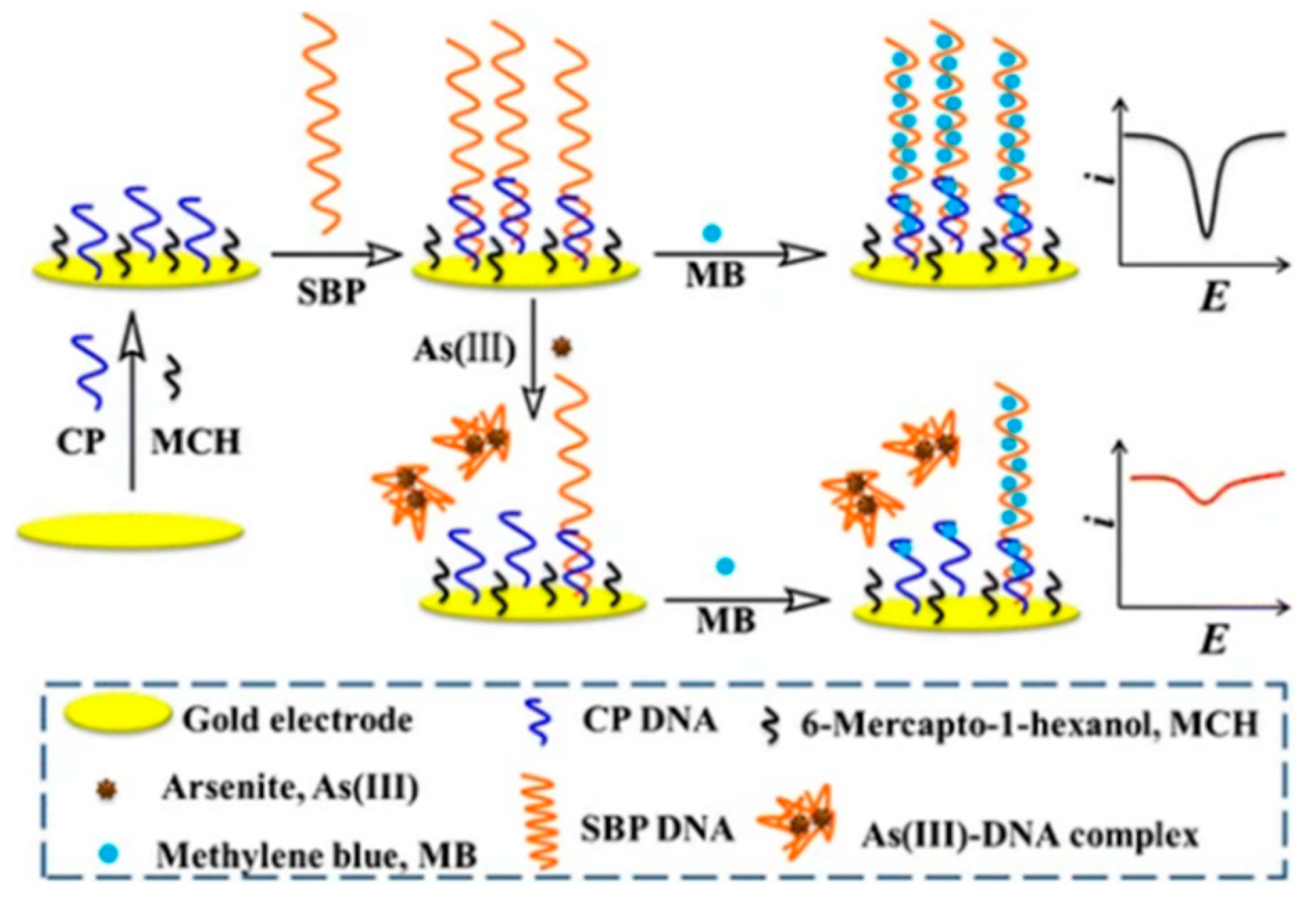 Nanomaterials 12 00781 g024