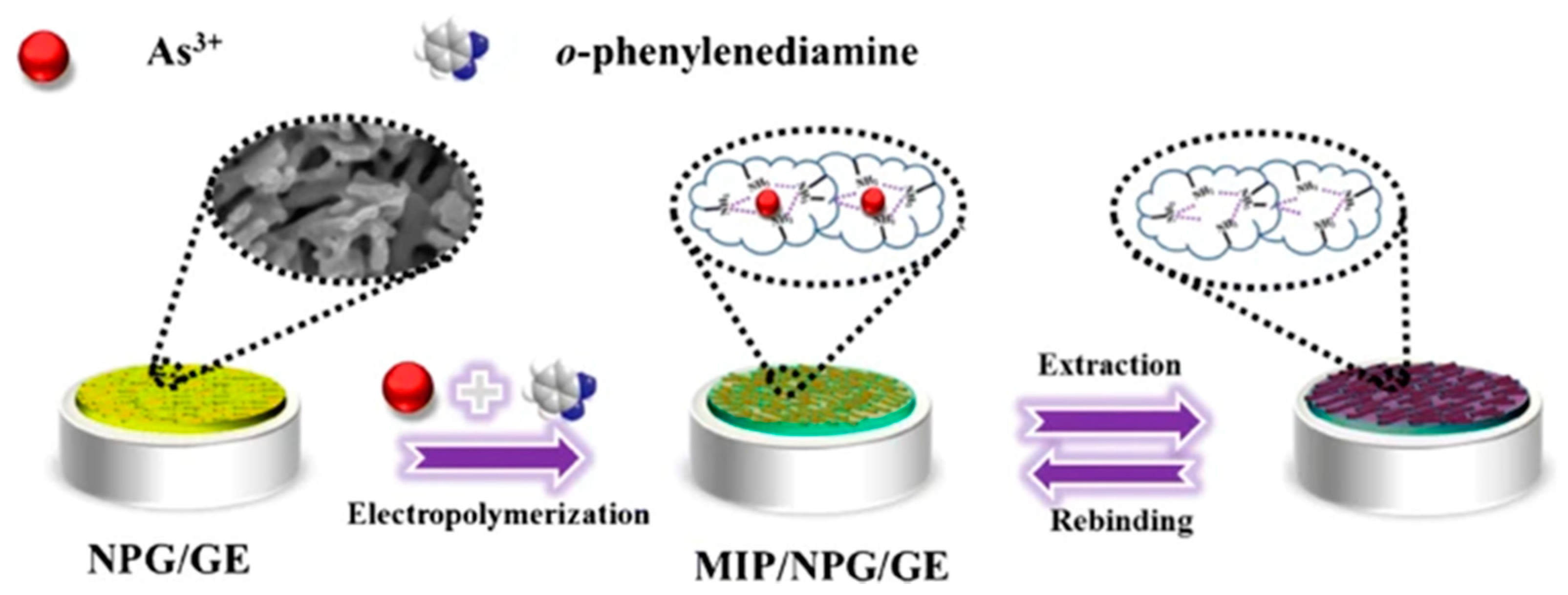 Nanomaterials 12 00781 g027