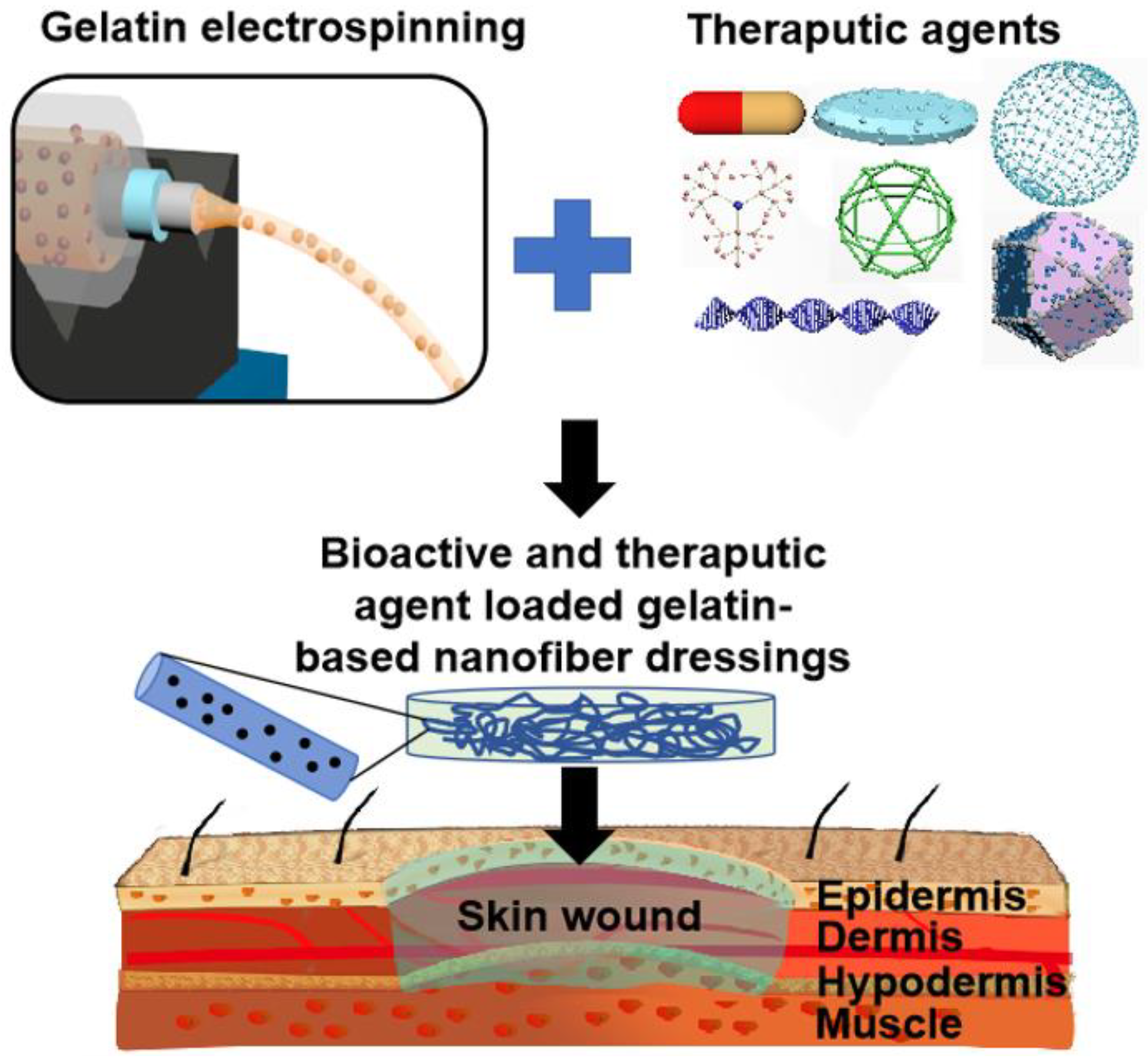 Nanomaterials 12 00784 g001
