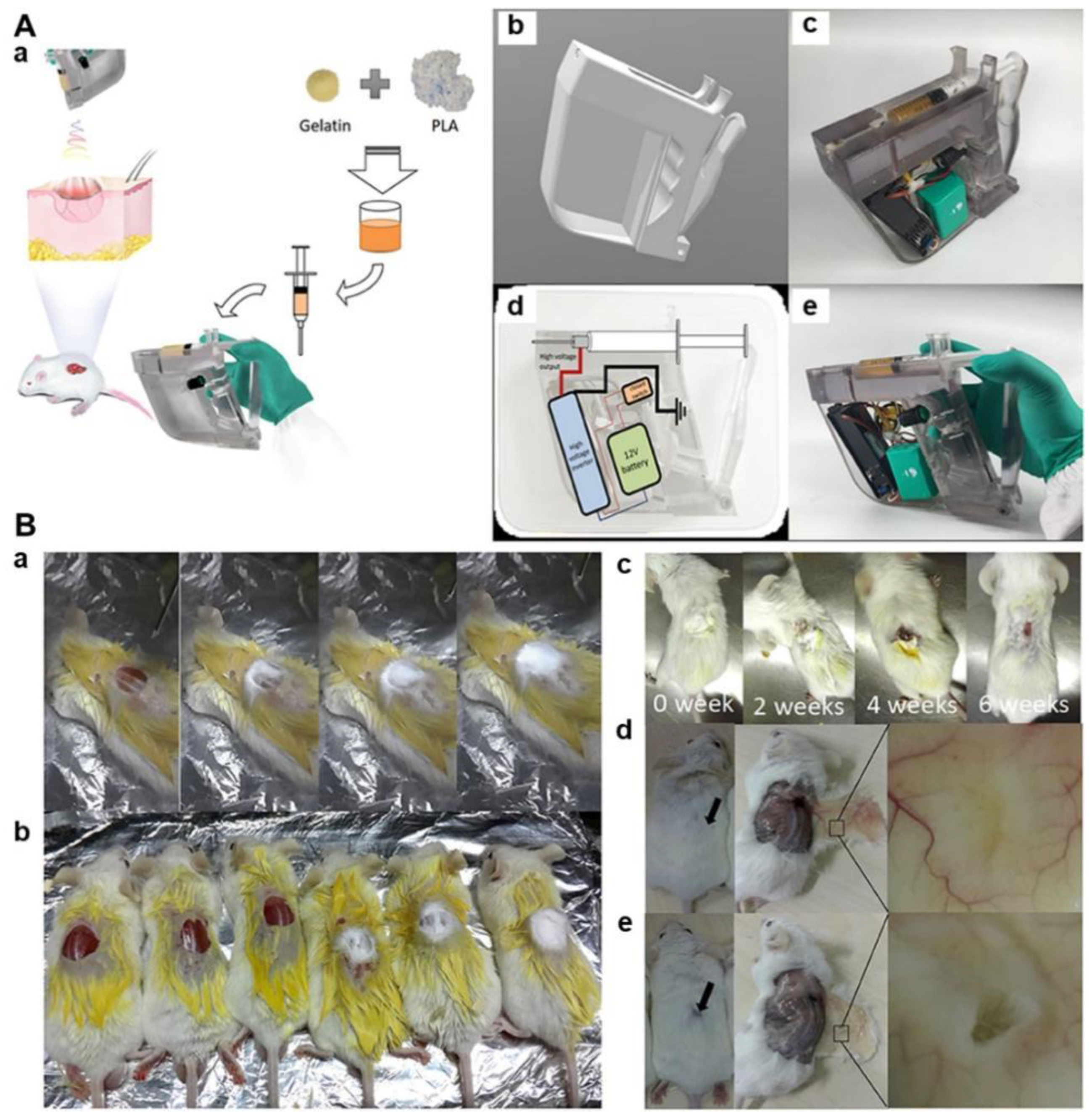 Nanomaterials 12 00784 g007