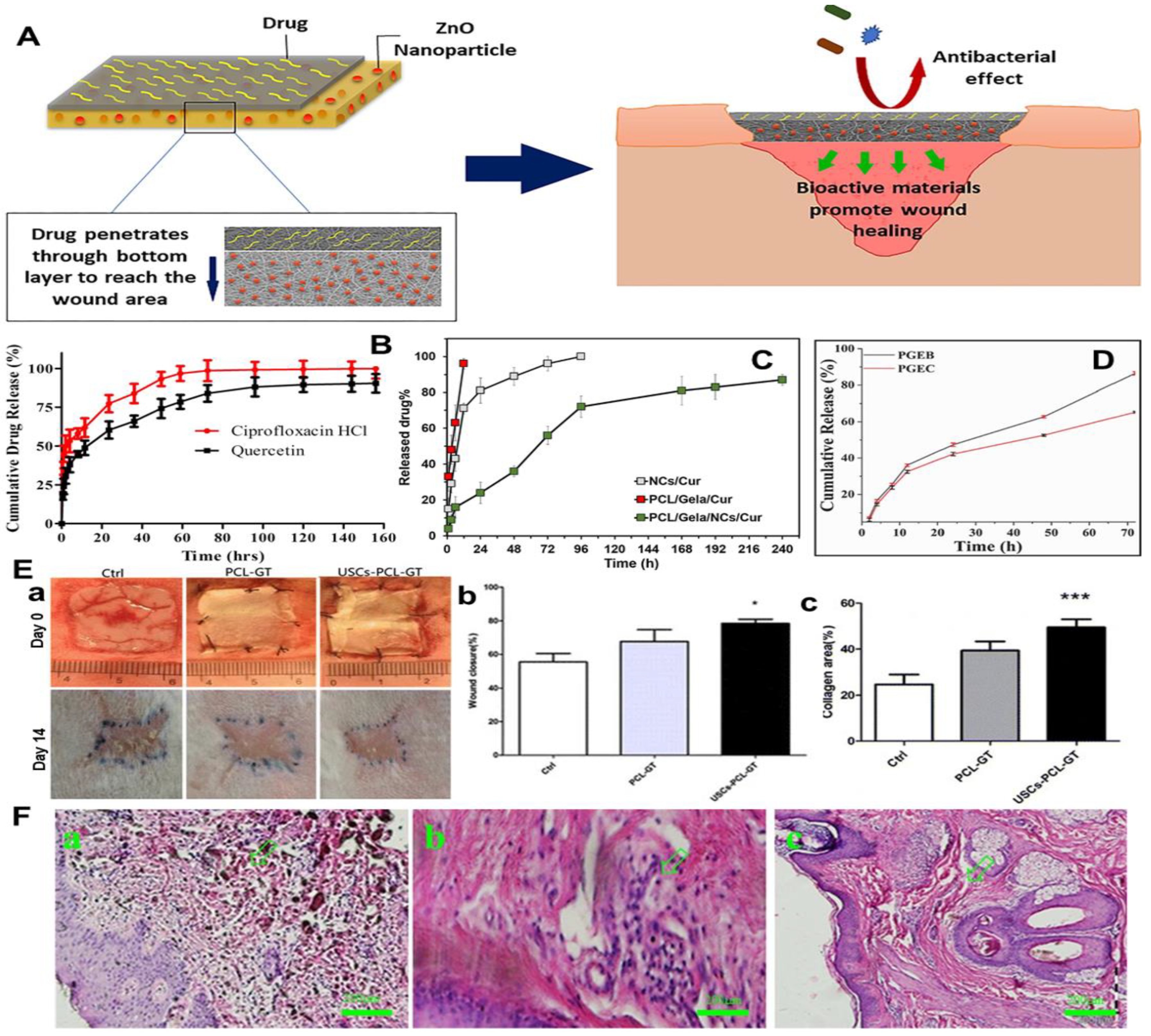 Nanomaterials 12 00784 g008
