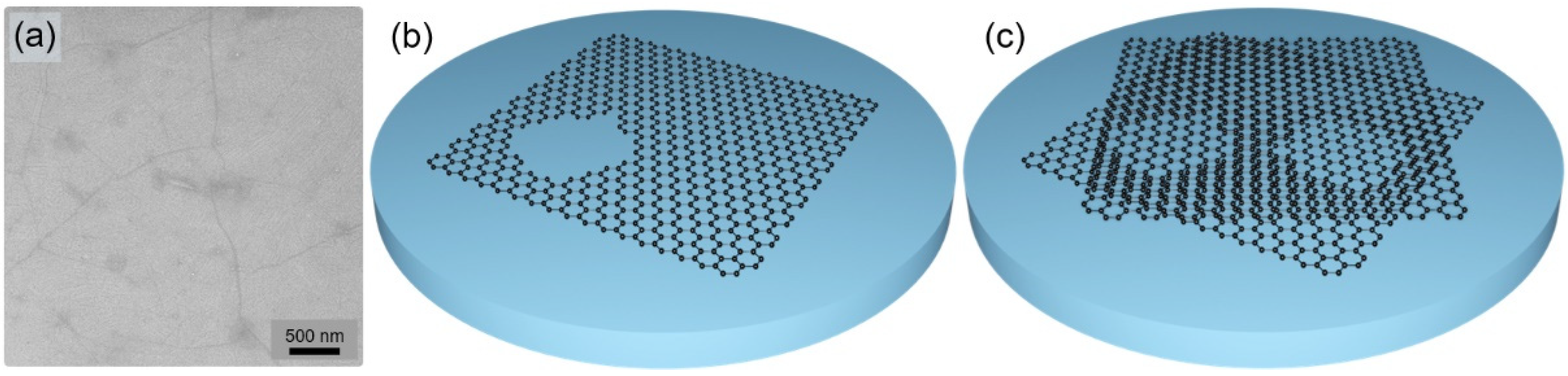 Nanomaterials 12 00785 g001