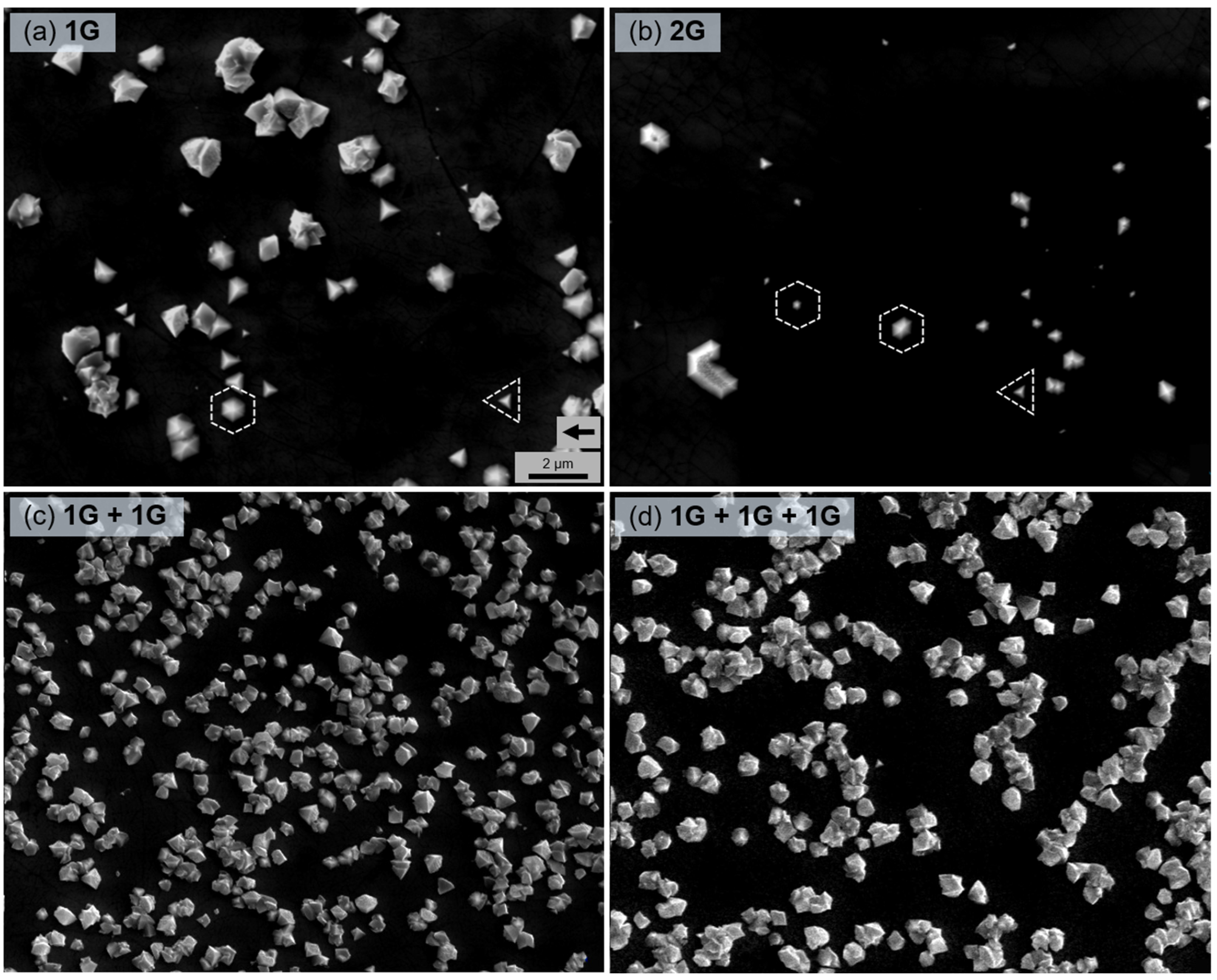 Nanomaterials 12 00785 g003