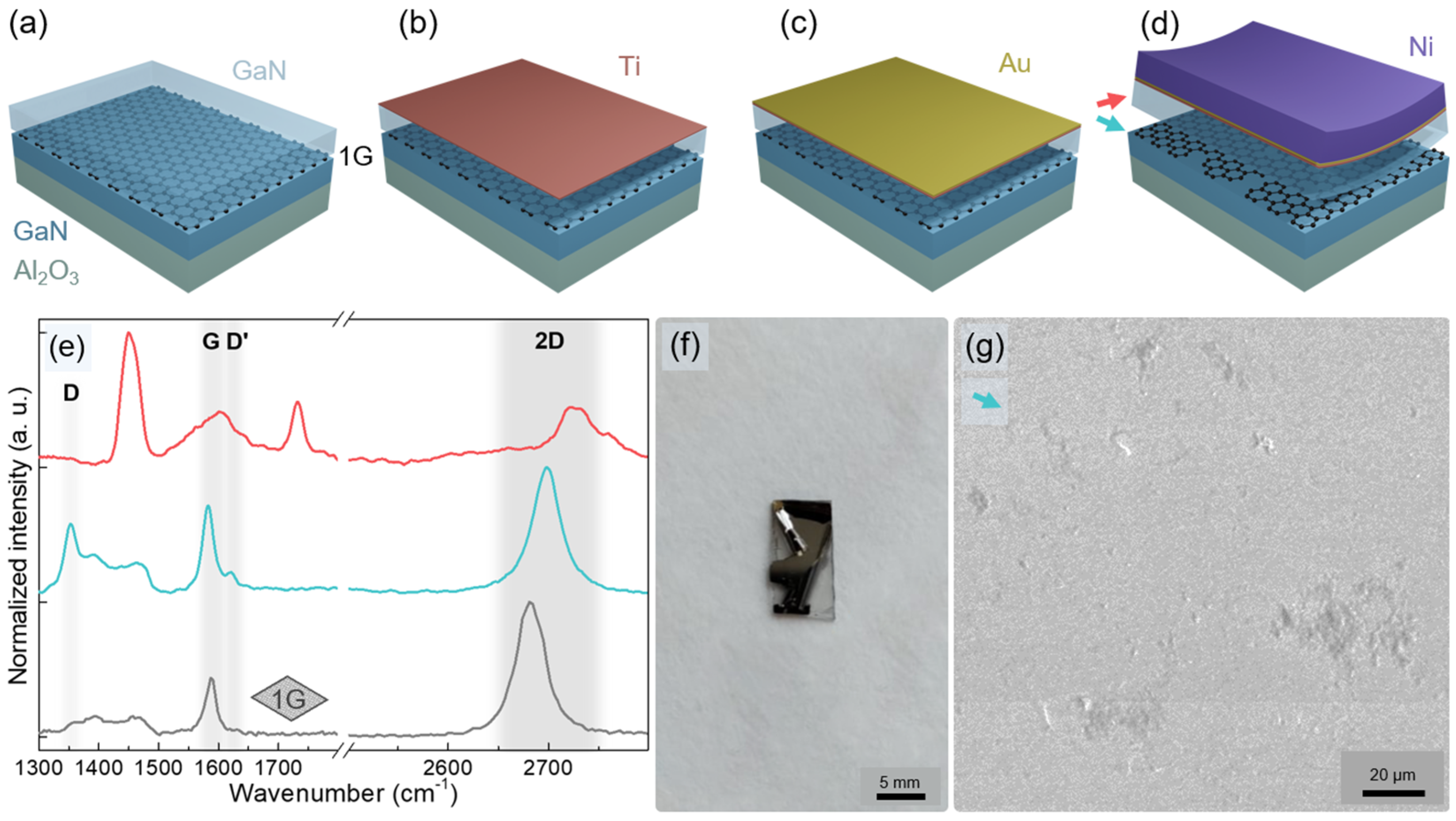 Nanomaterials 12 00785 g007
