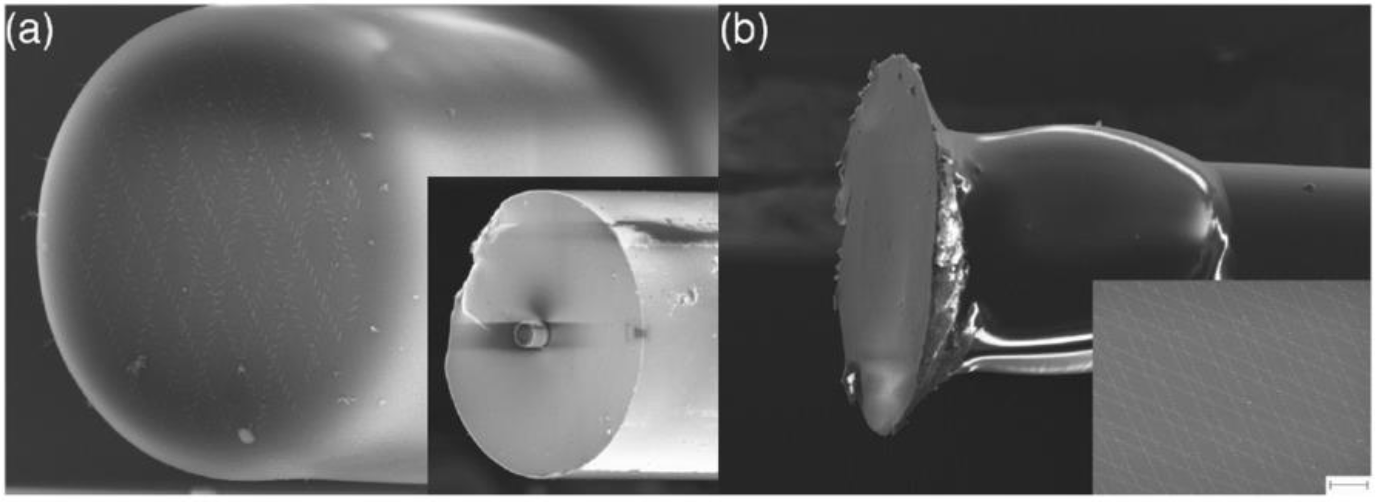 Nanomaterials 12 00793 g007
