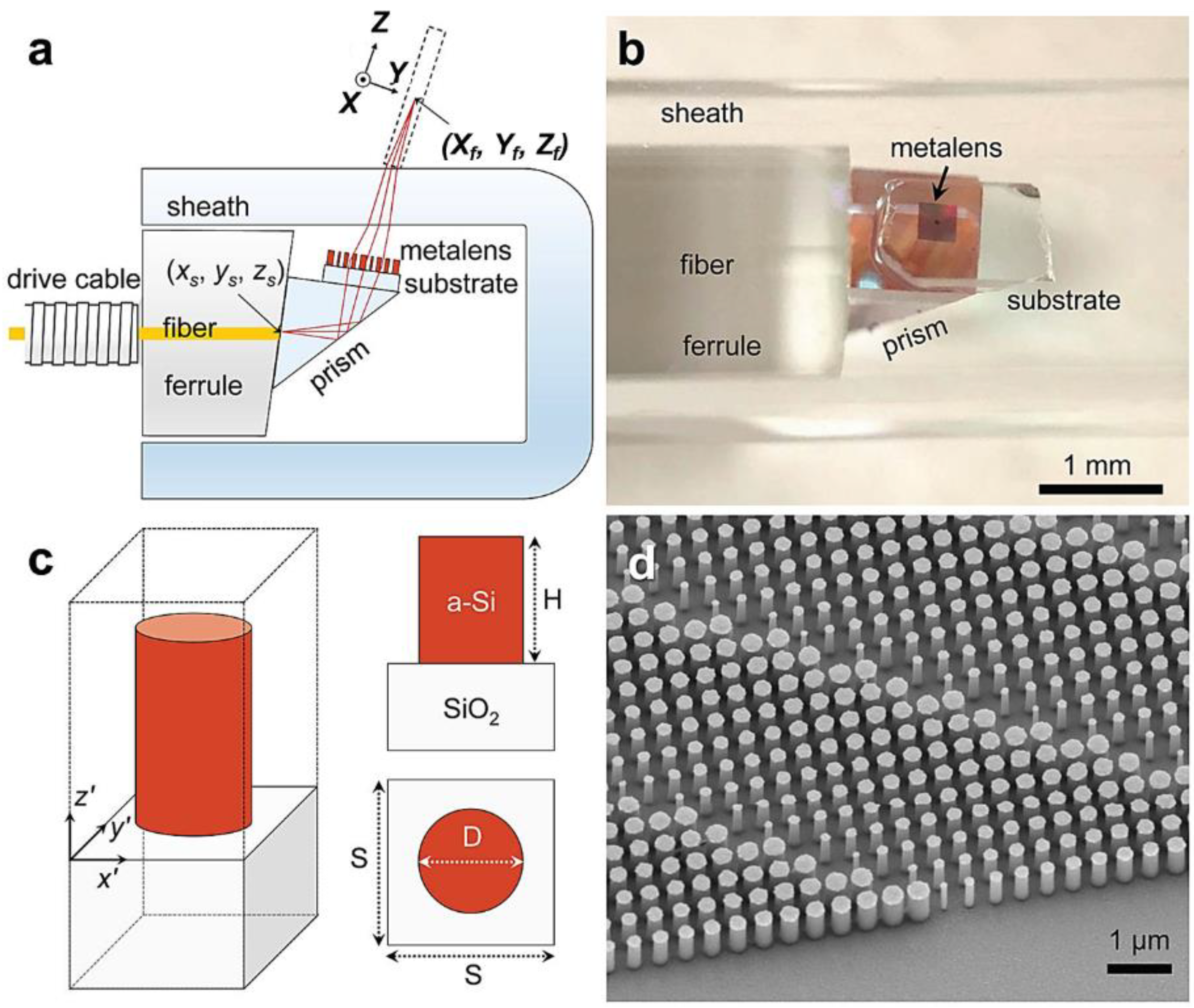 Nanomaterials 12 00793 g010