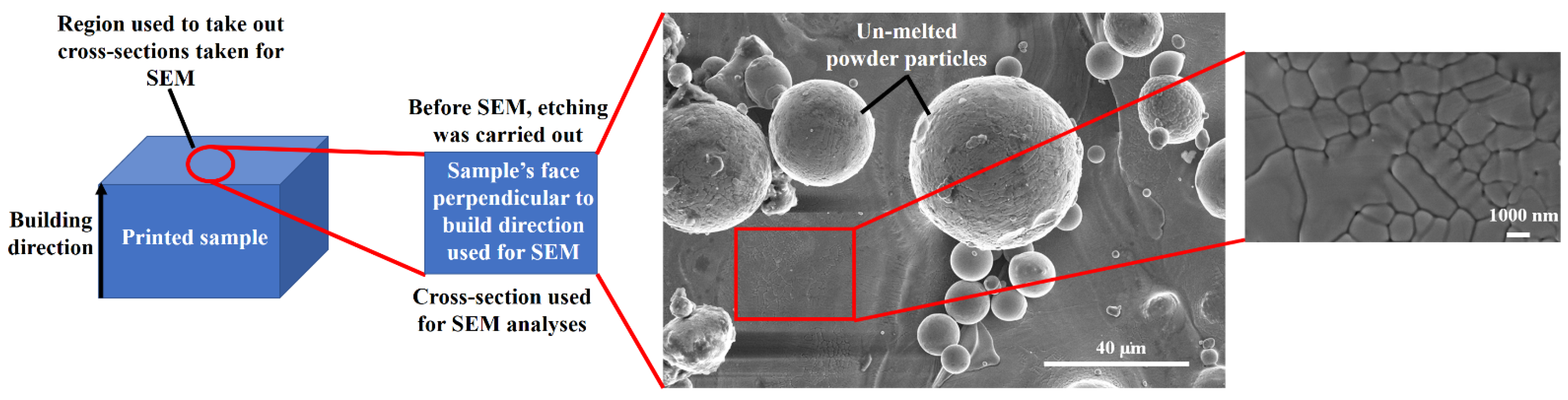 Nanomaterials 12 00802 g004