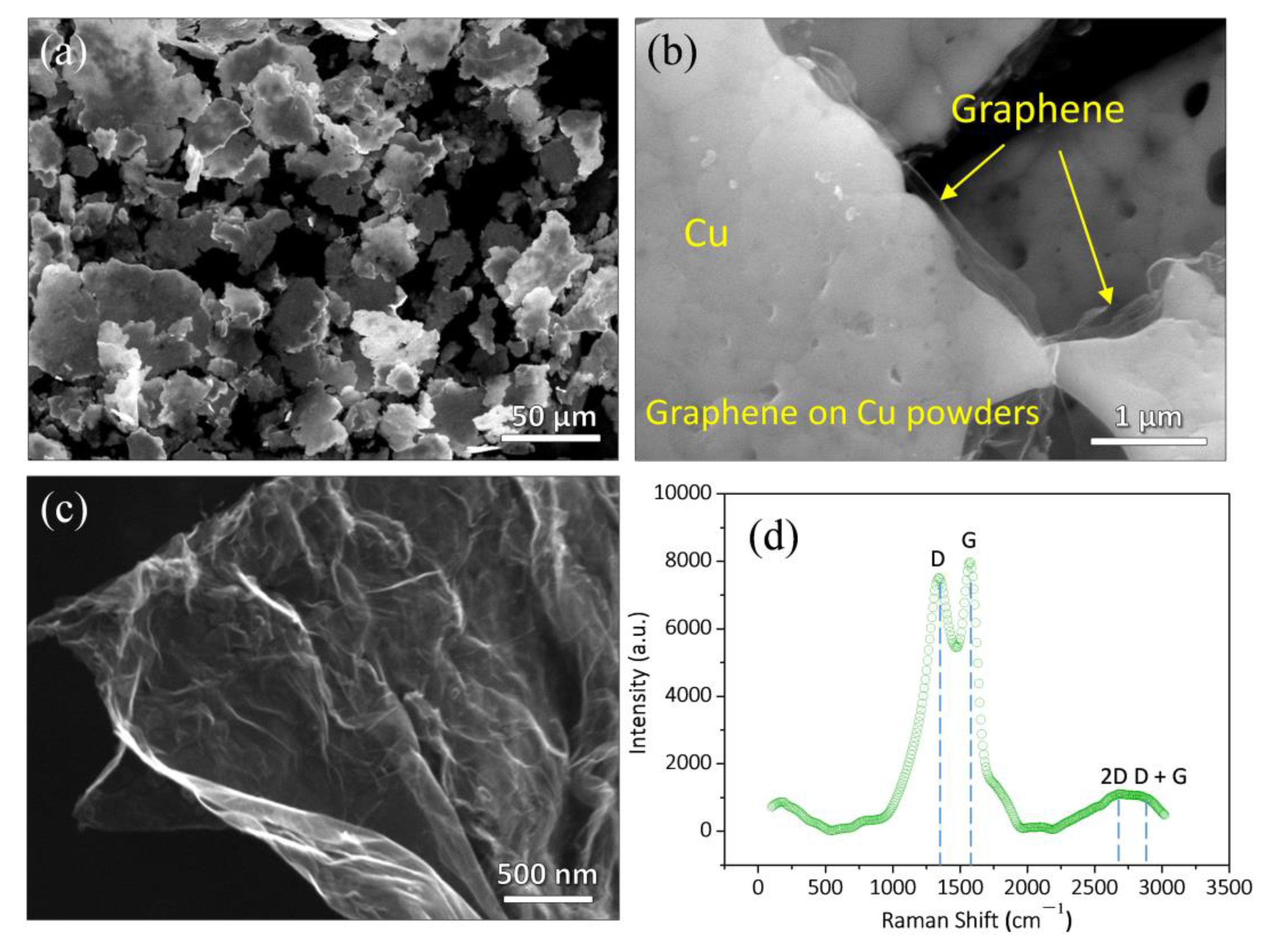 Nanomaterials 12 00807 g001