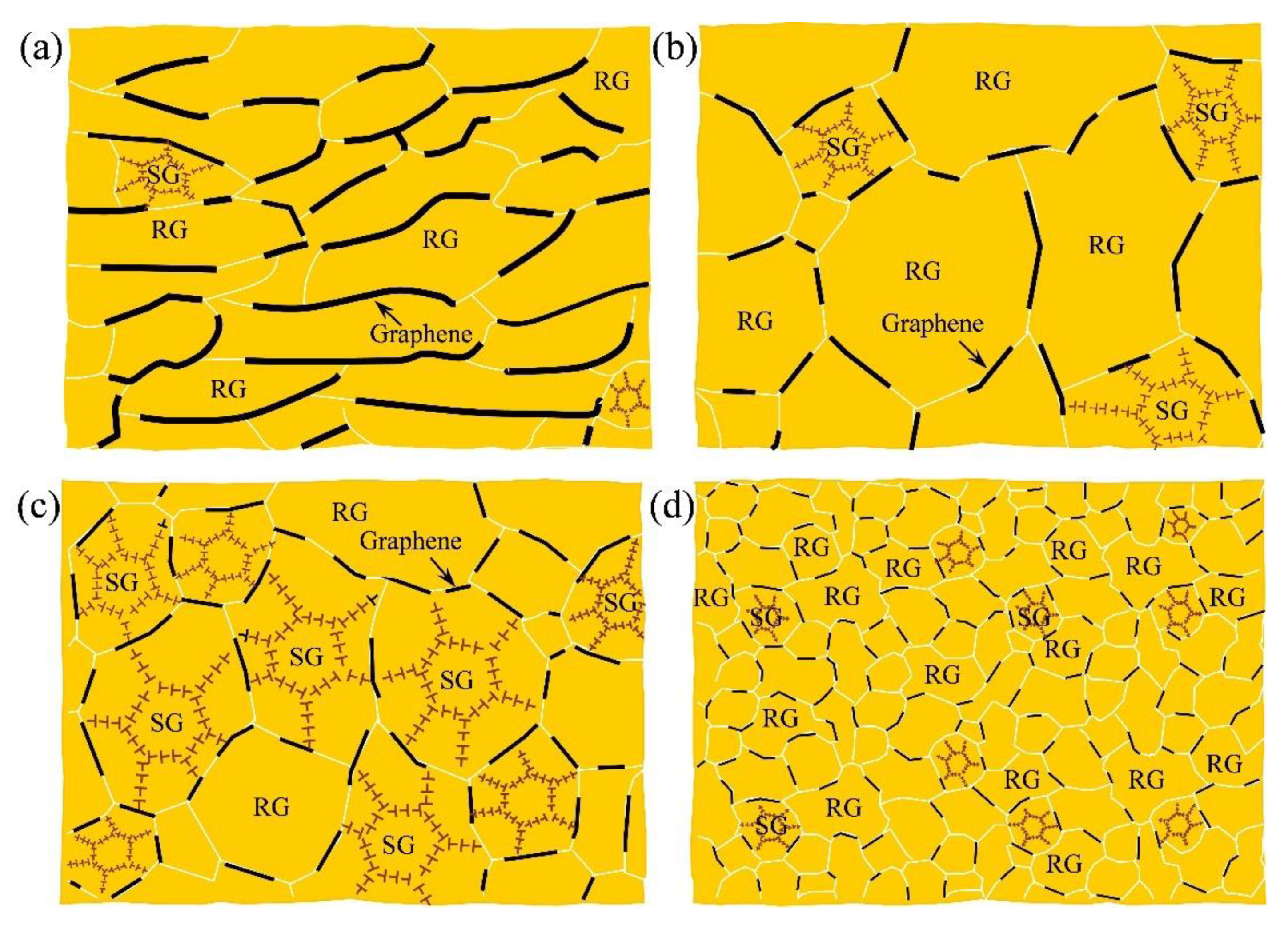 Nanomaterials 12 00807 g012