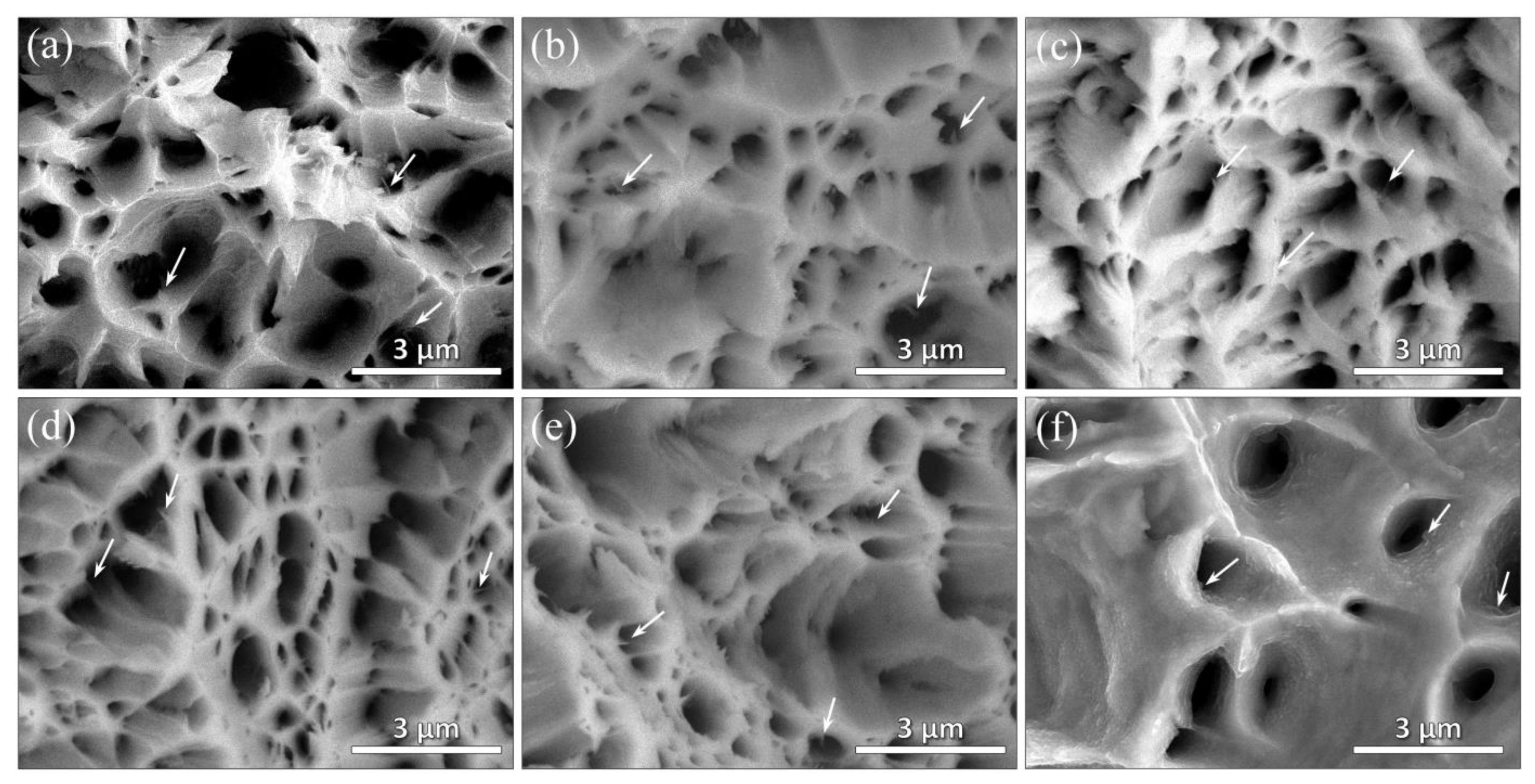 Nanomaterials 12 00807 g016