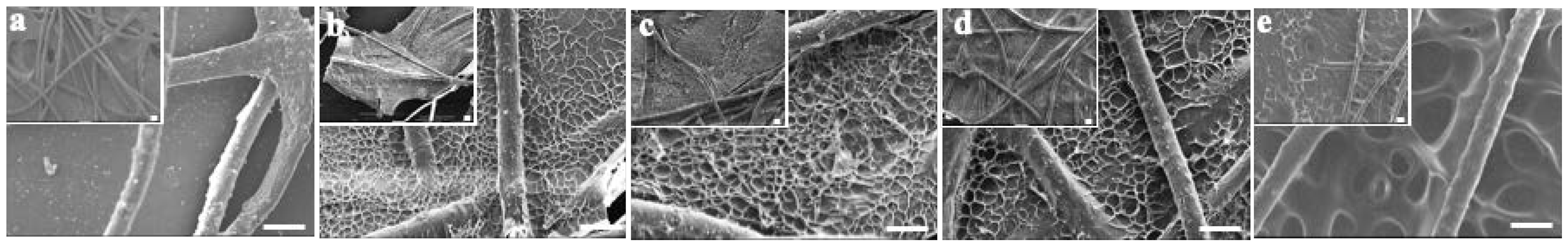 Nanomaterials 12 00808 g001