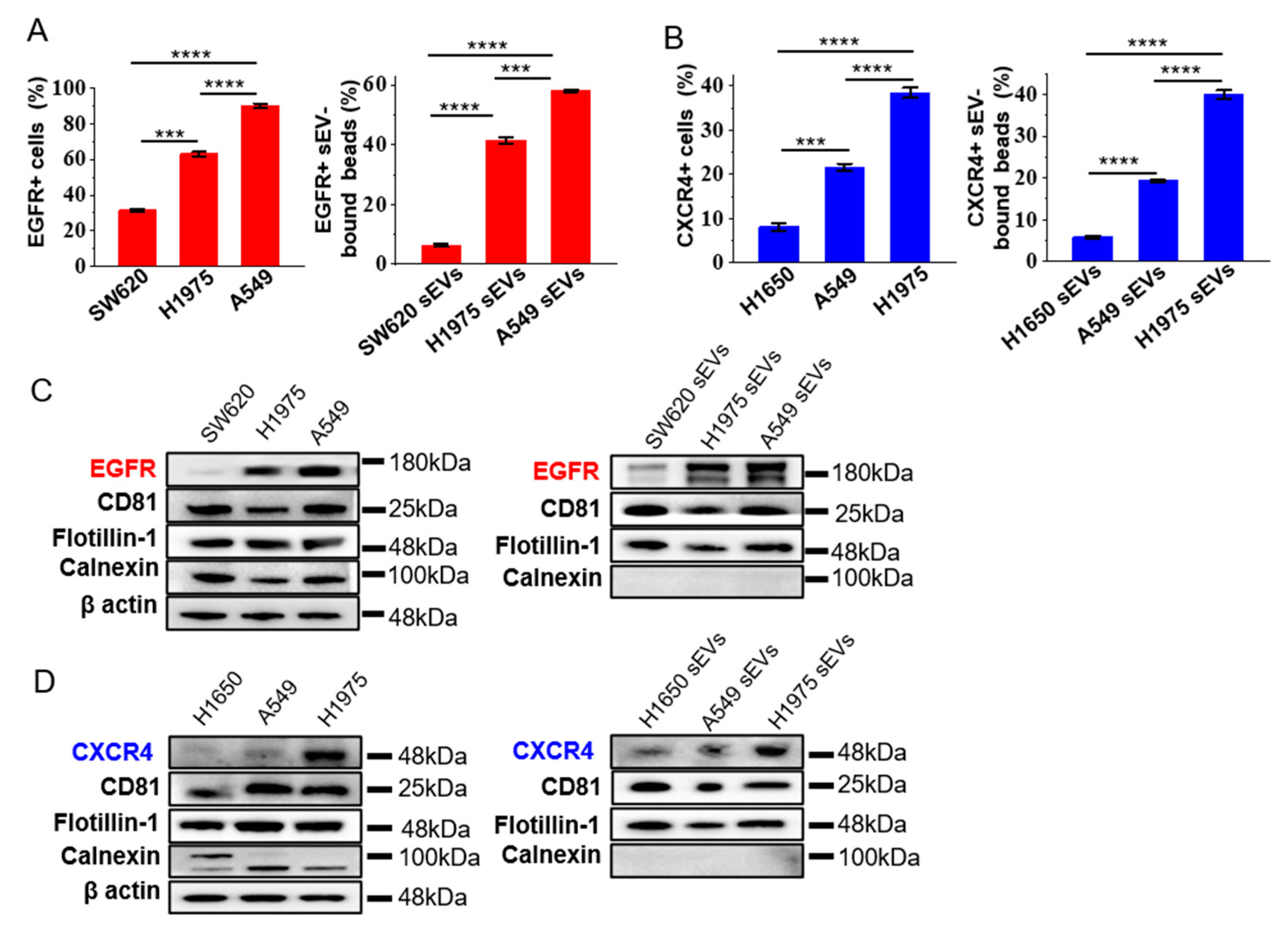 Nanomaterials 12 00809 g002