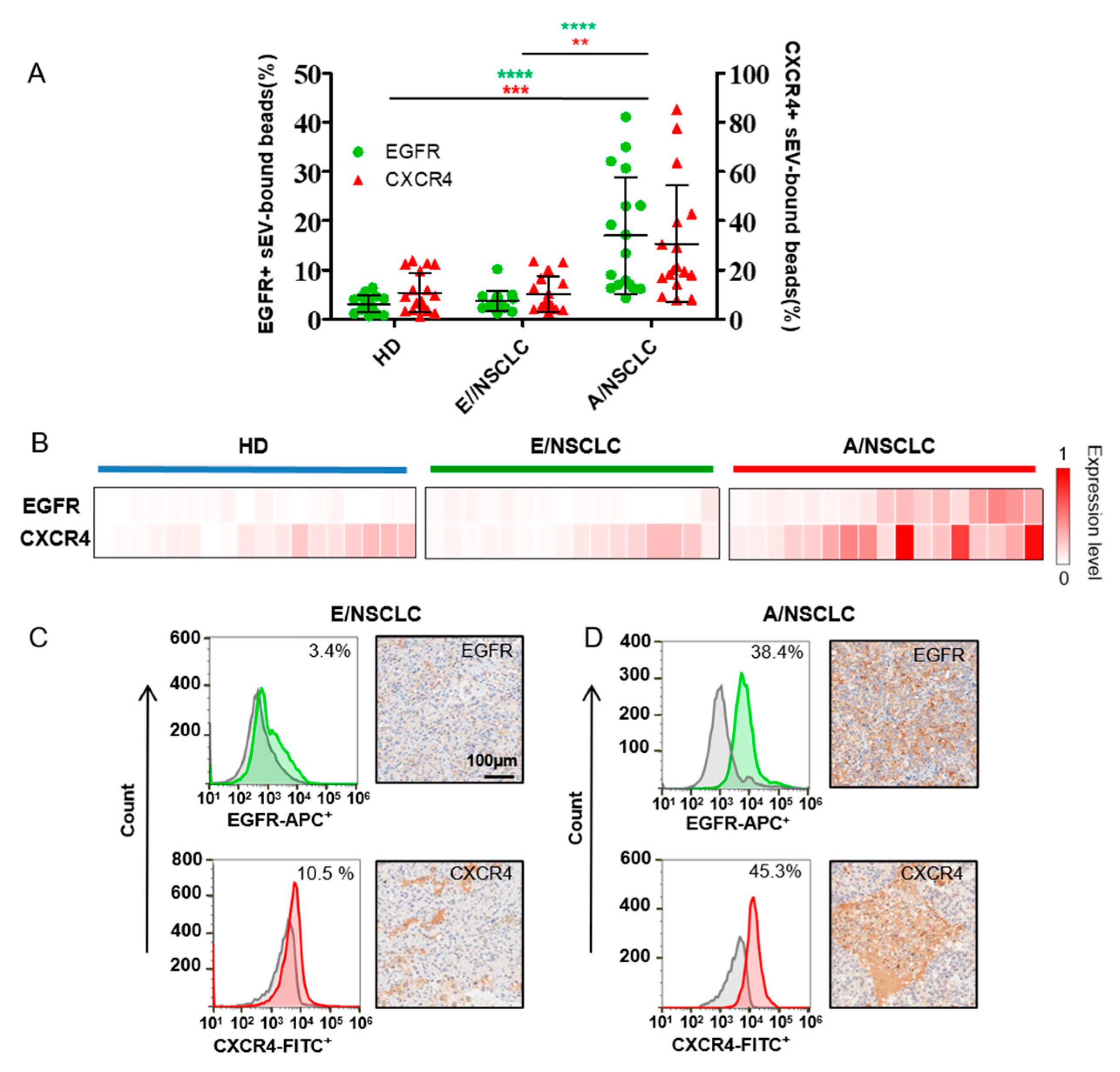 Nanomaterials 12 00809 g003