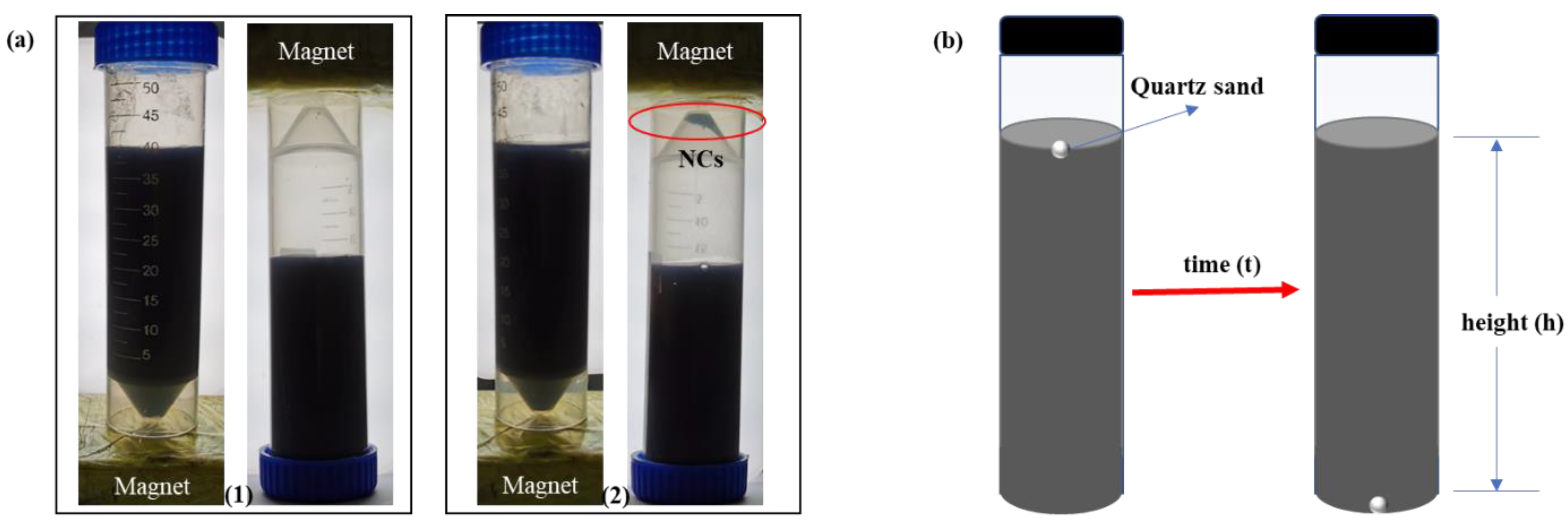 Nanomaterials 12 00812 g001
