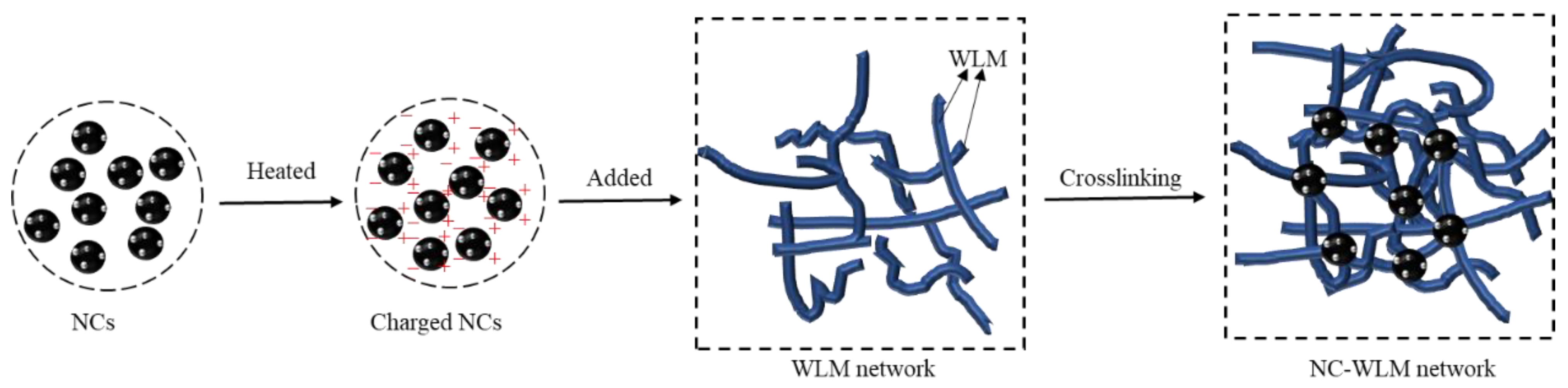 Nanomaterials 12 00812 g011
