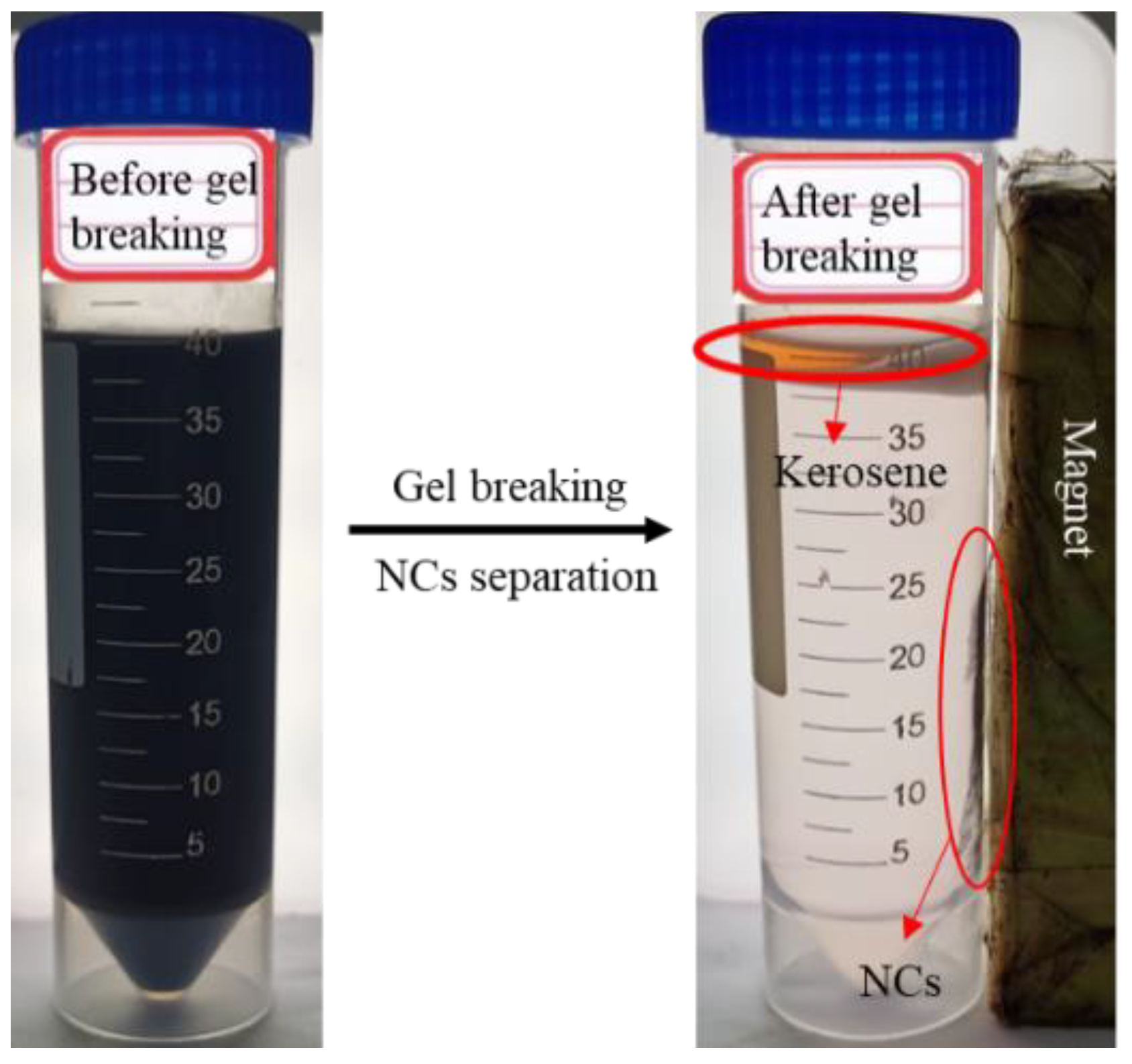 Nanomaterials 12 00812 g013