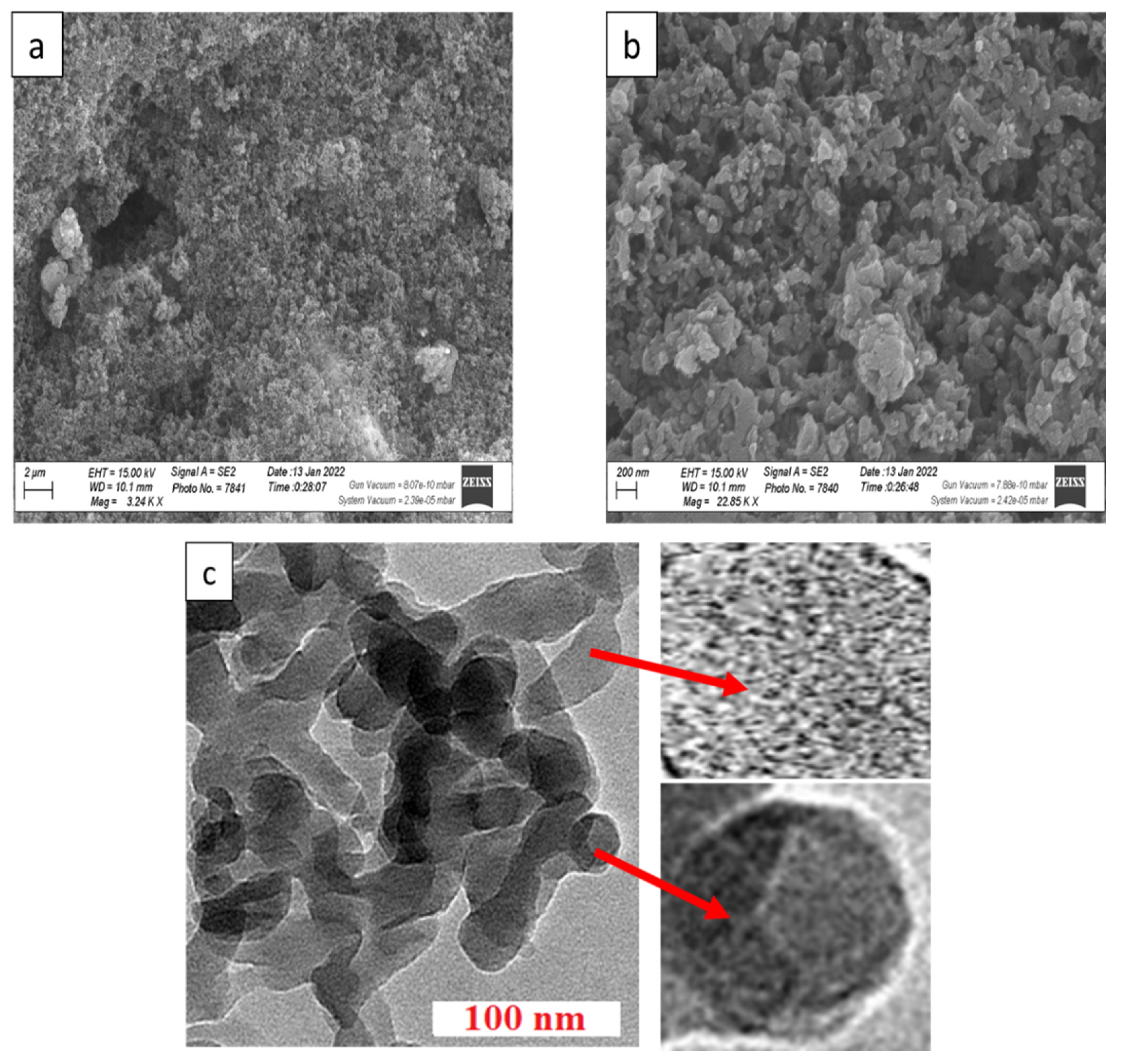 Nanomaterials 12 00817 g003