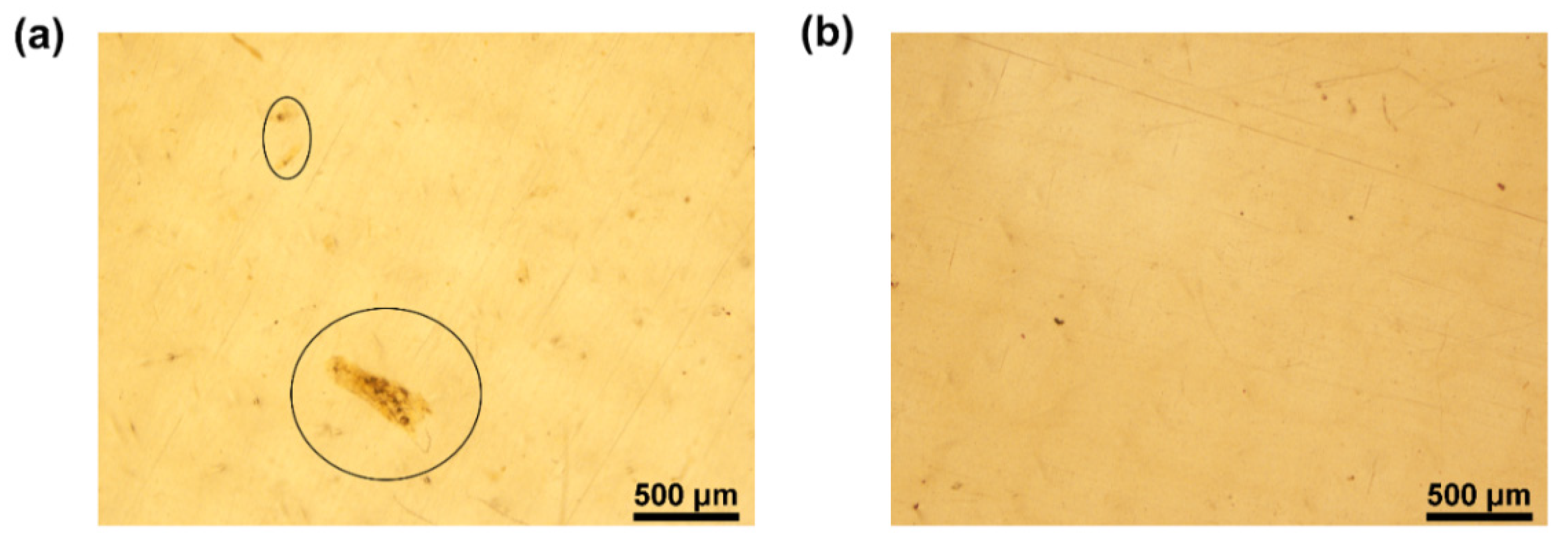 Nanomaterials 12 00818 g002