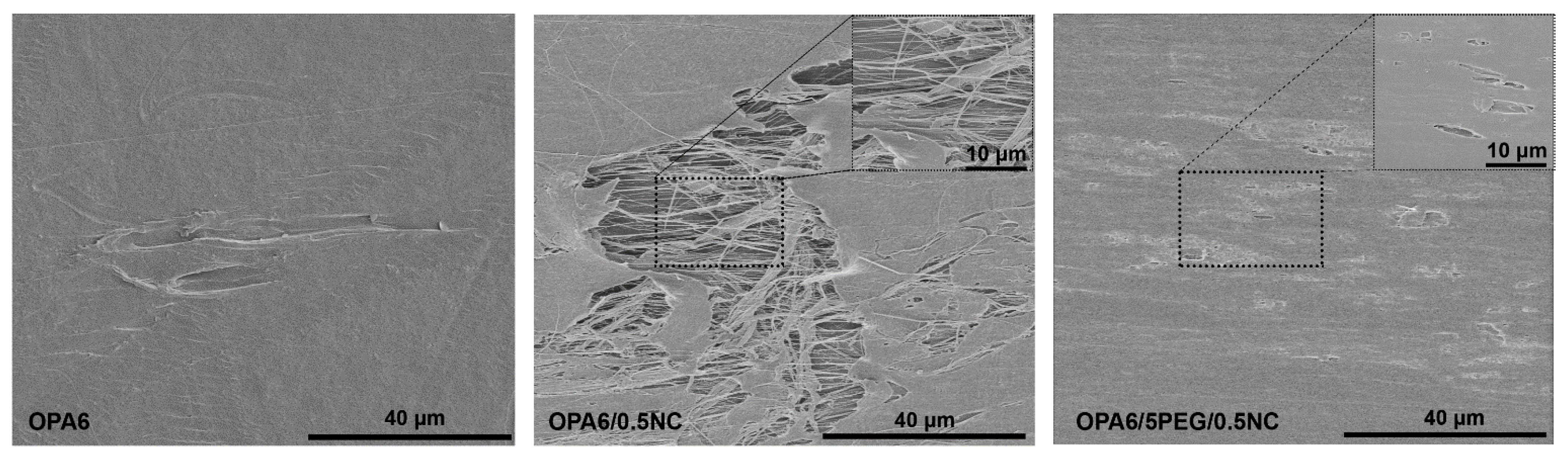Nanomaterials 12 00818 g005