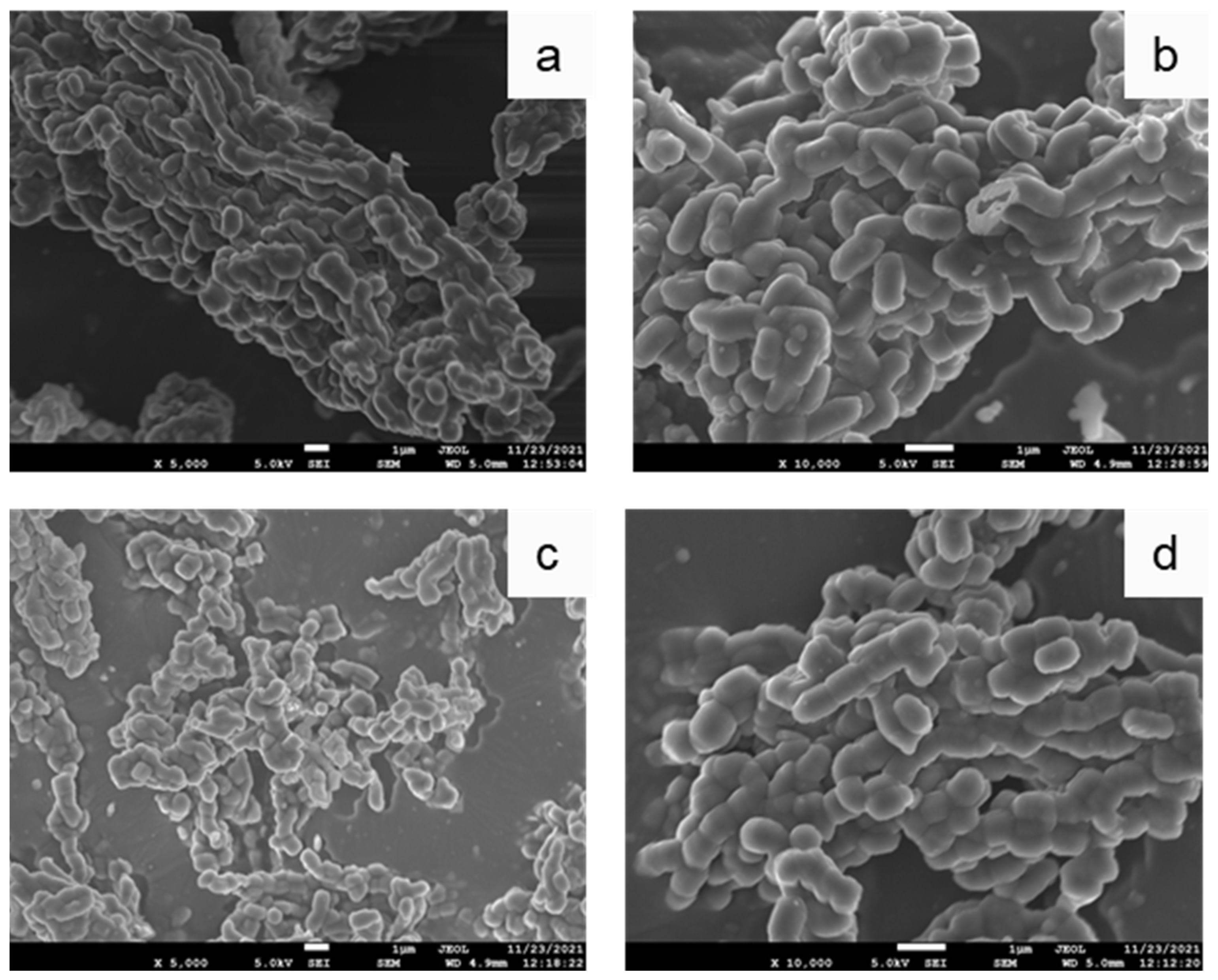 Nanomaterials 12 00822 g001