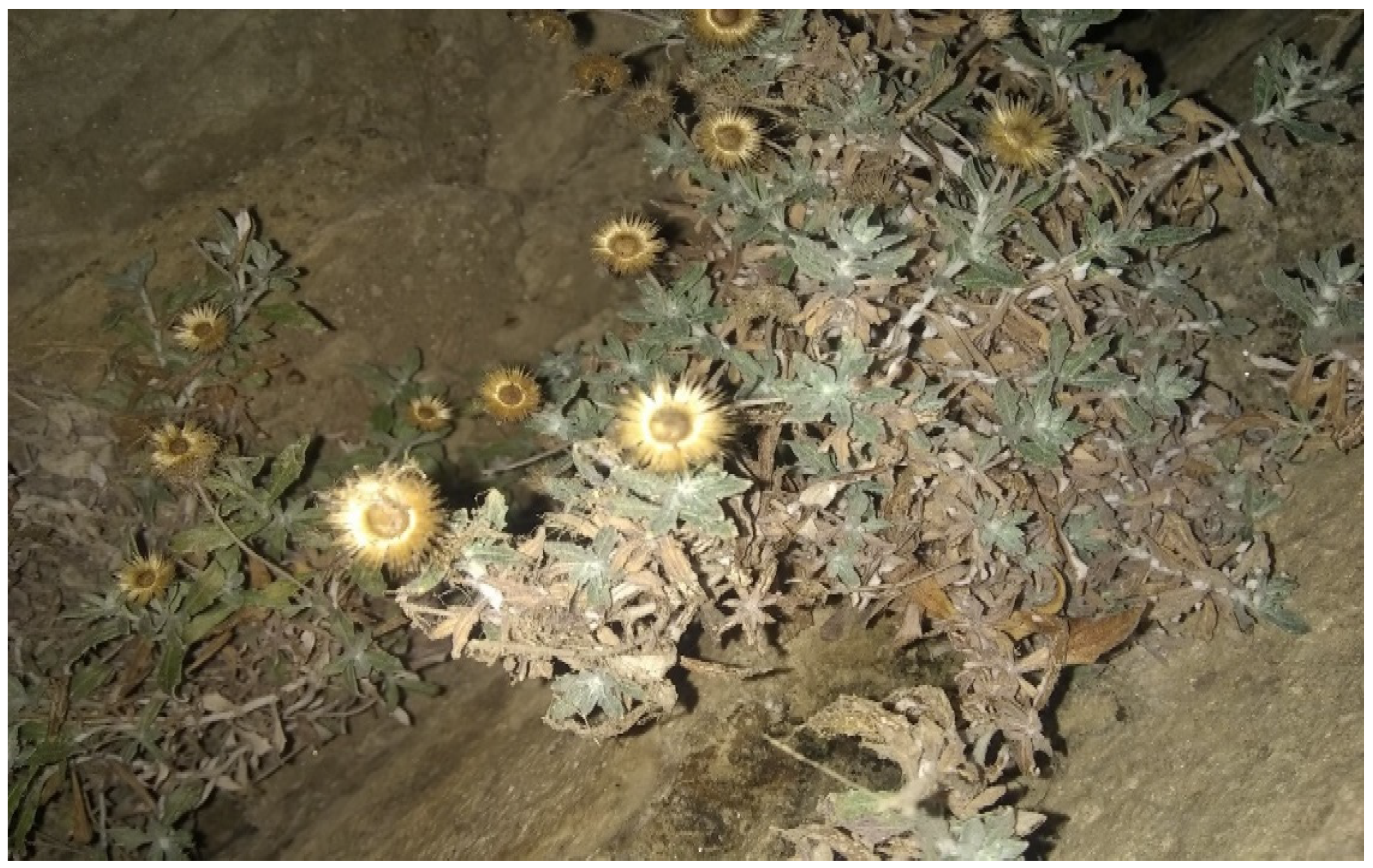 Nanomaterials 12 00830 g001 Nanomaterials 12 00830 g001