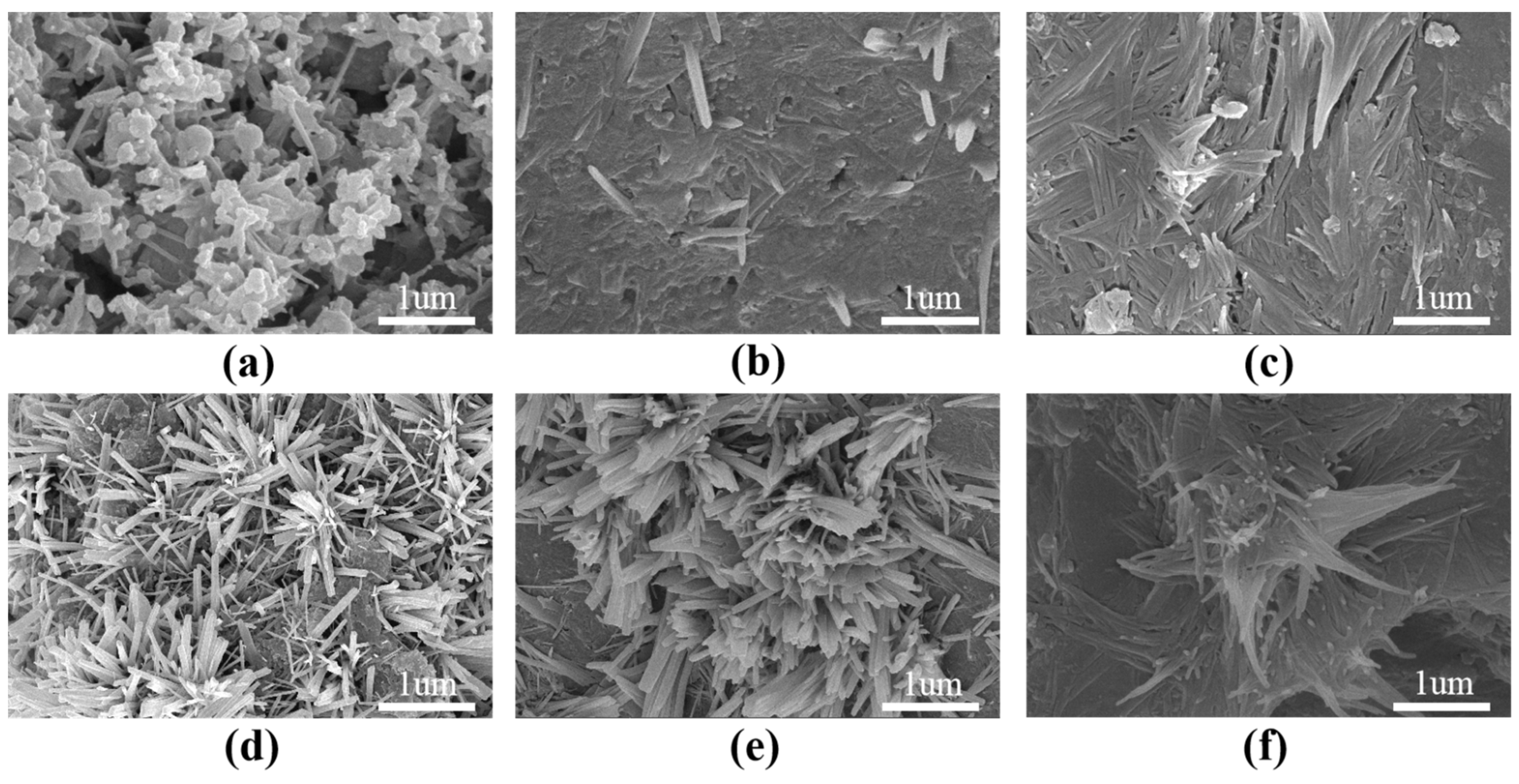 Nanomaterials 12 00833 g009