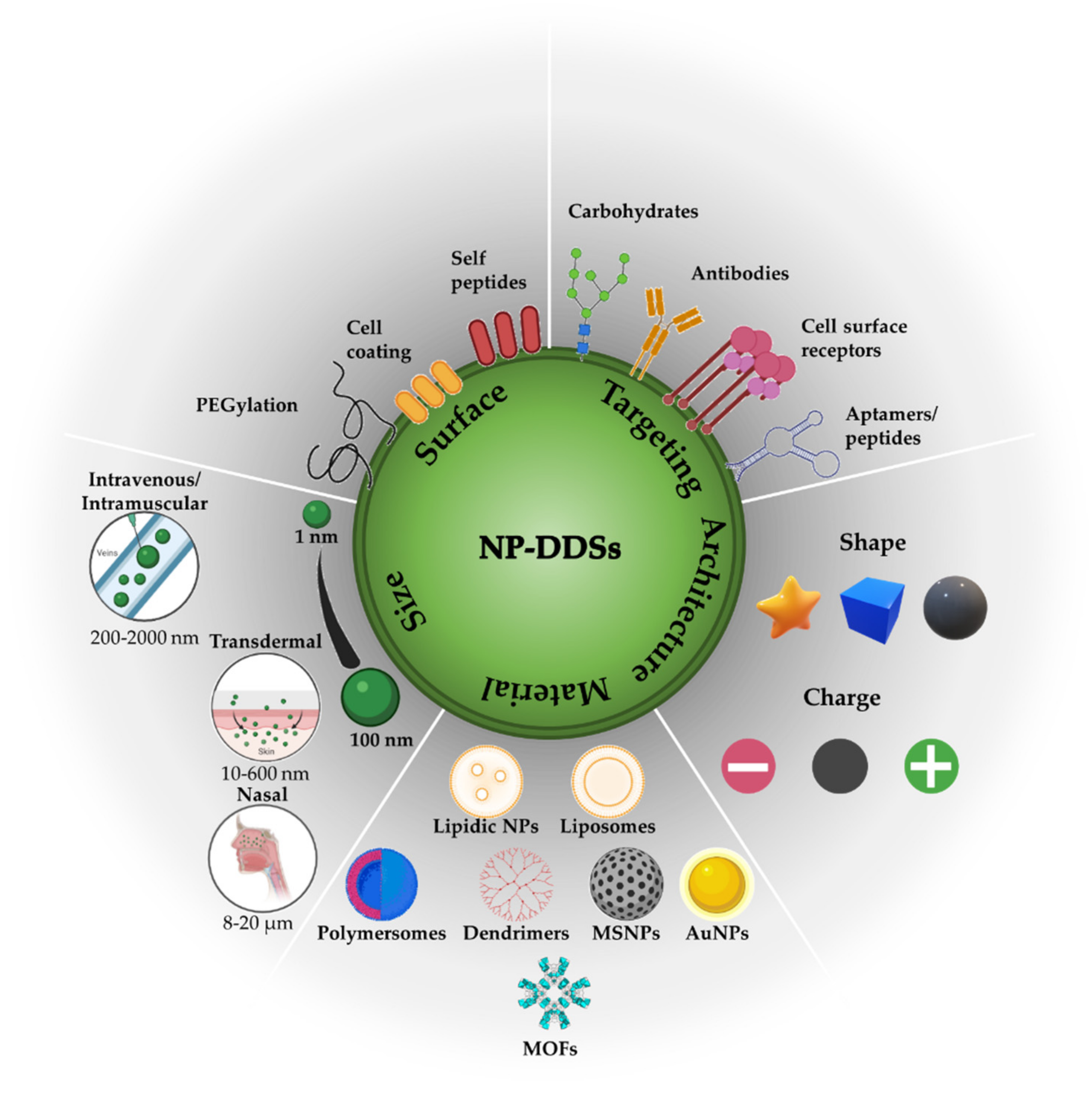 Nanomaterials 12 00836 g001 Nanomaterials 12 00836 g001