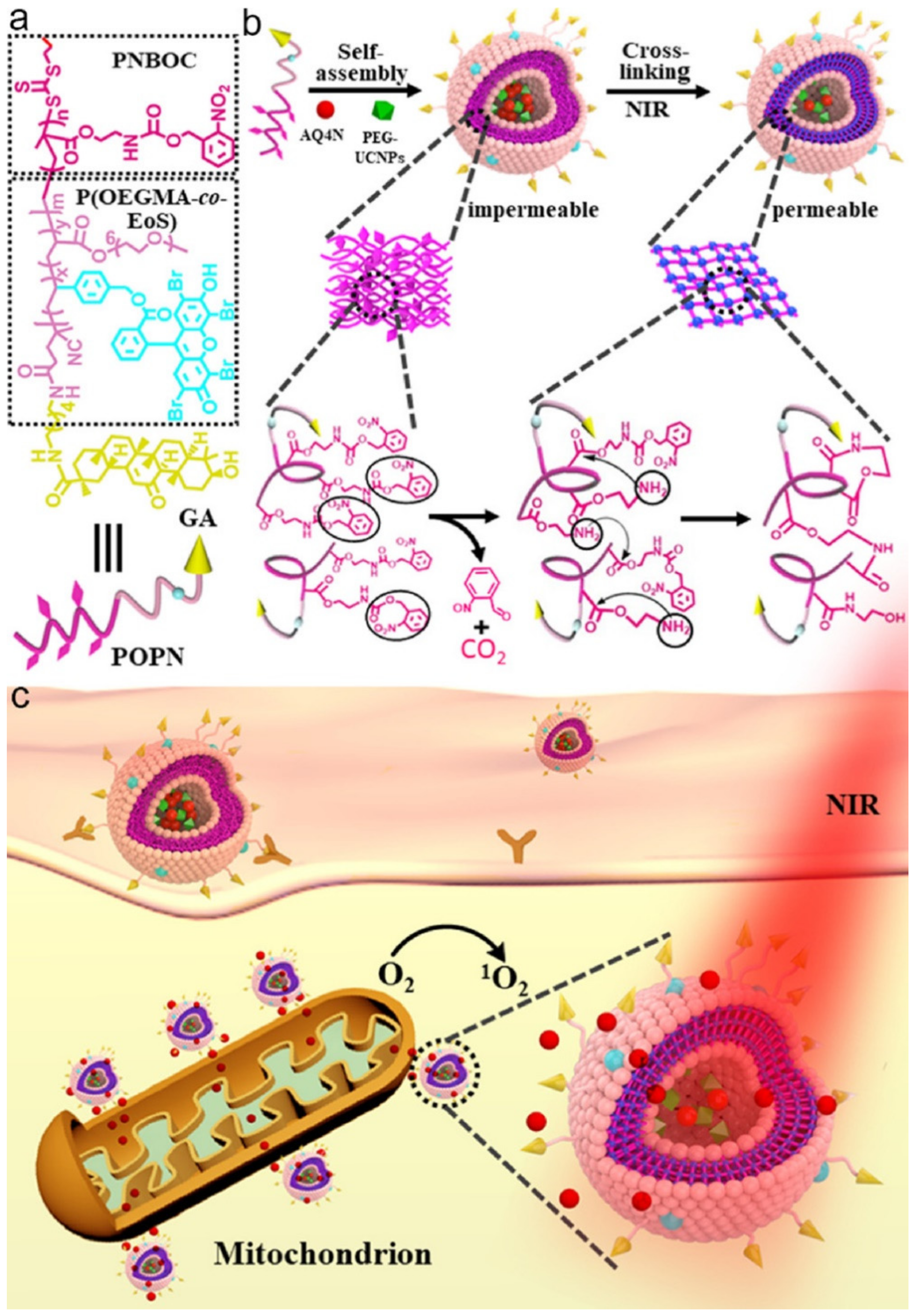 Nanomaterials 12 00836 g012 Nanomaterials 12 00836 g012