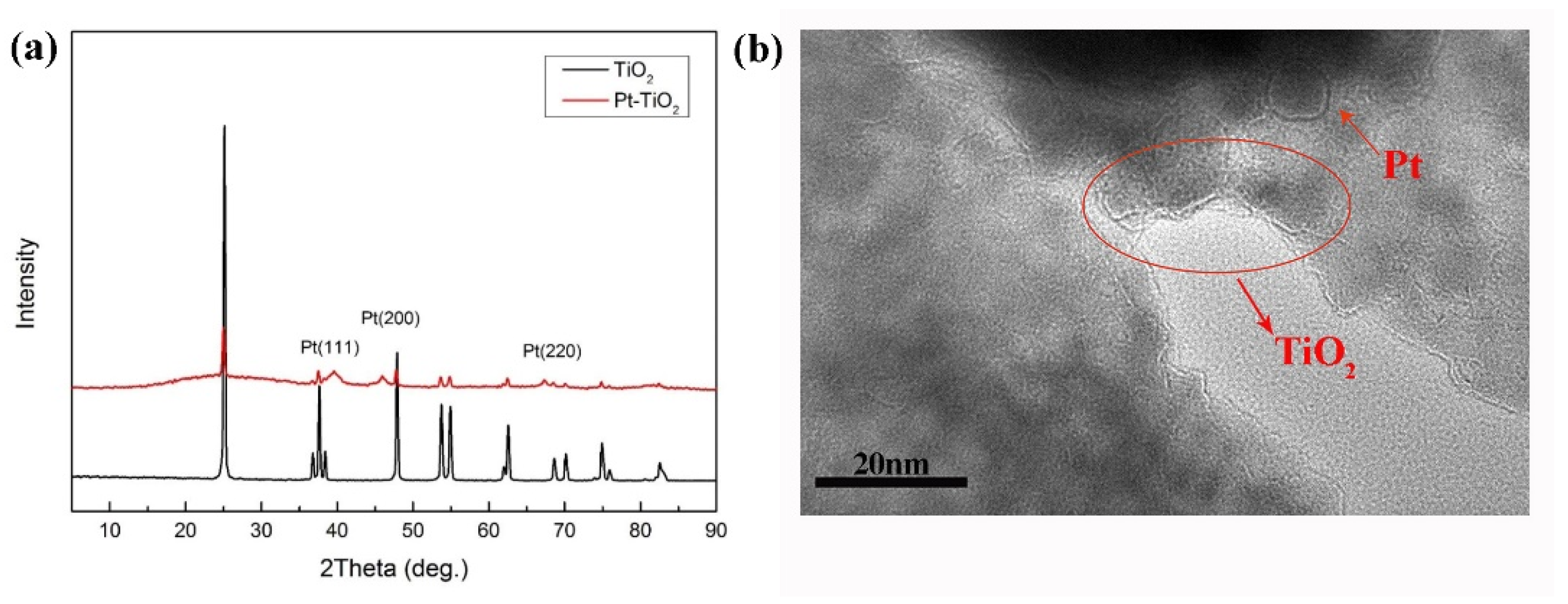 Nanomaterials 12 00841 g003