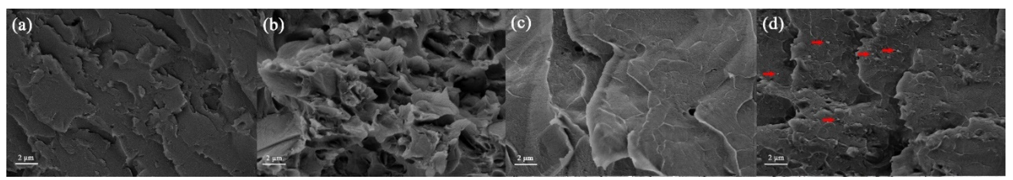 Nanomaterials 12 00841 g004