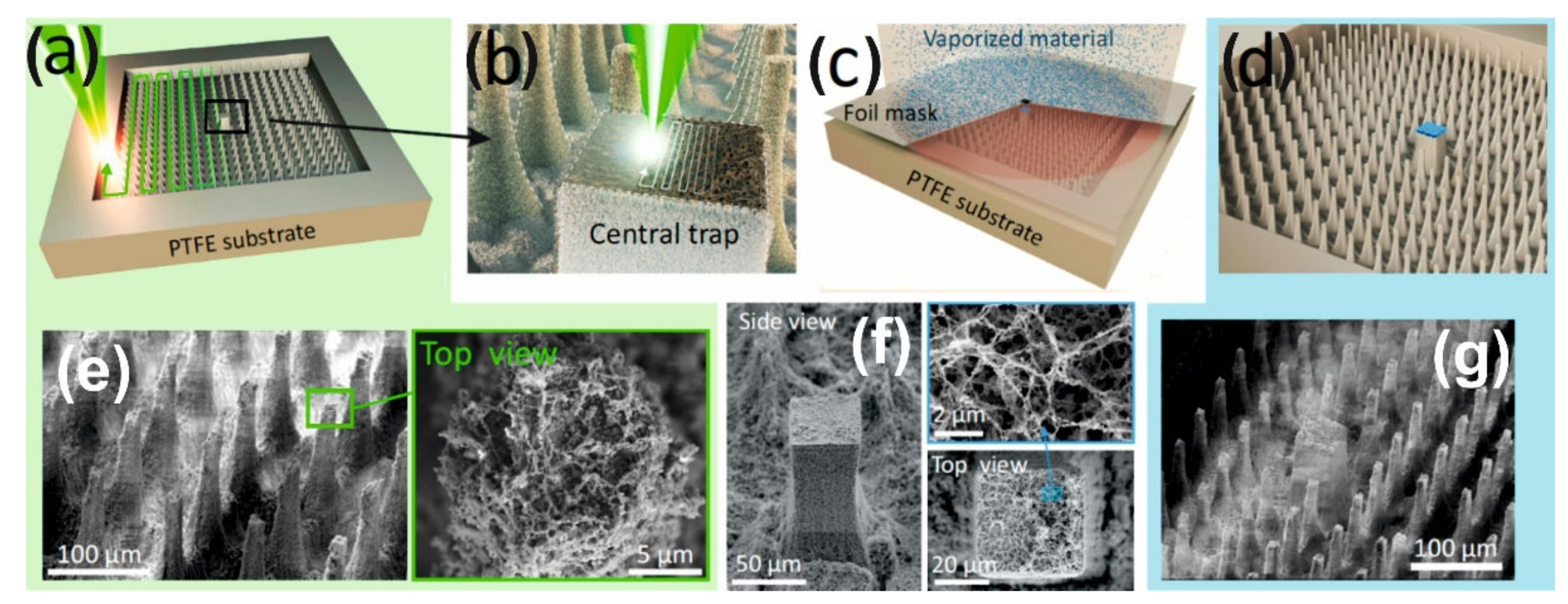 Nanomaterials 12 00844 g001