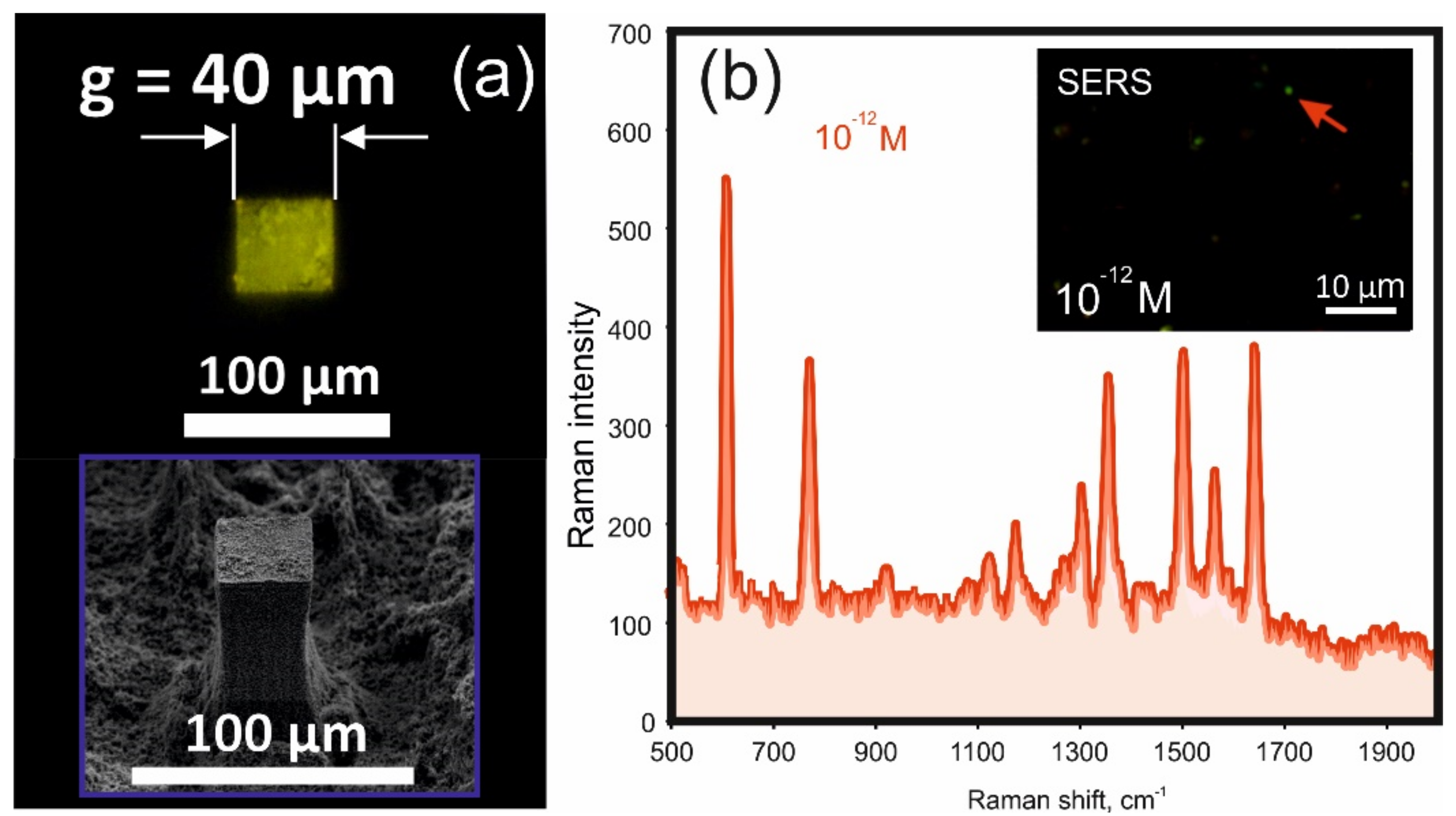 Nanomaterials 12 00844 g006