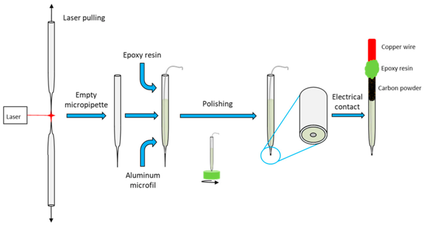 Nanomaterials 12 00845 g001