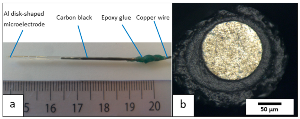 Nanomaterials 12 00845 g002