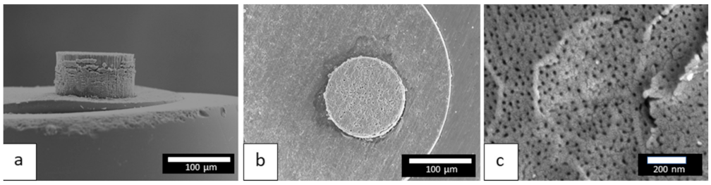 Nanomaterials 12 00845 g006
