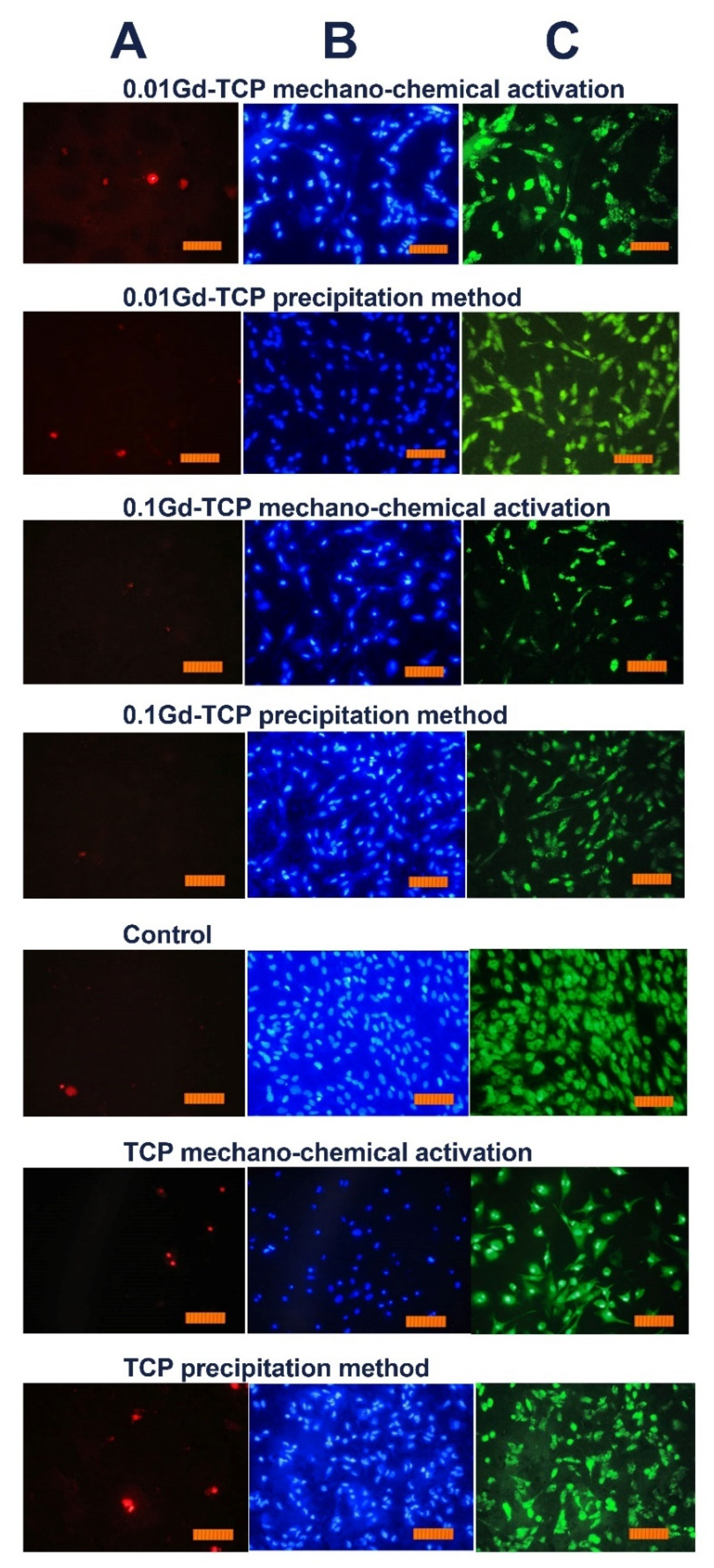 Nanomaterials 12 00852 g010