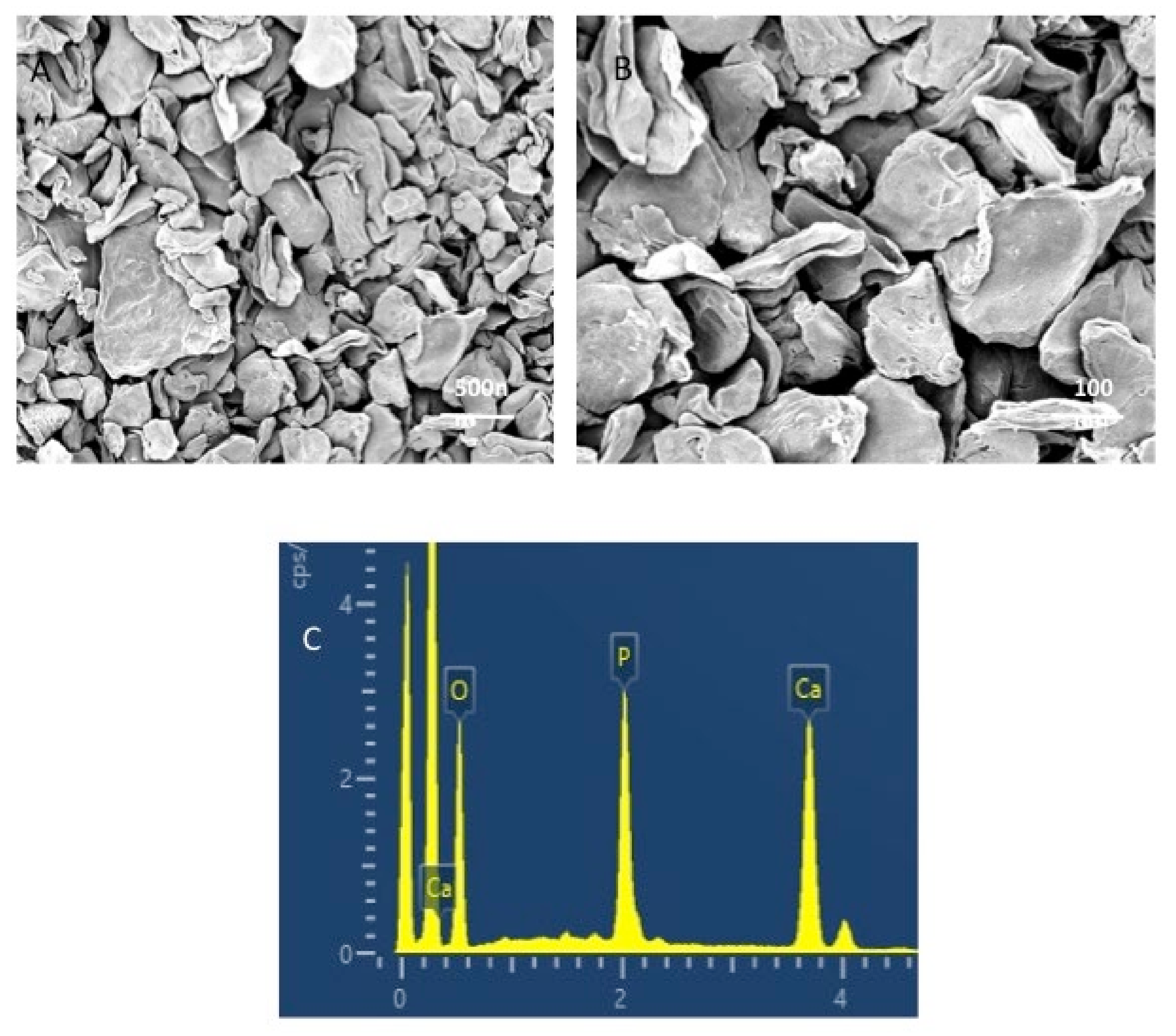 Nanomaterials 12 00853 g001