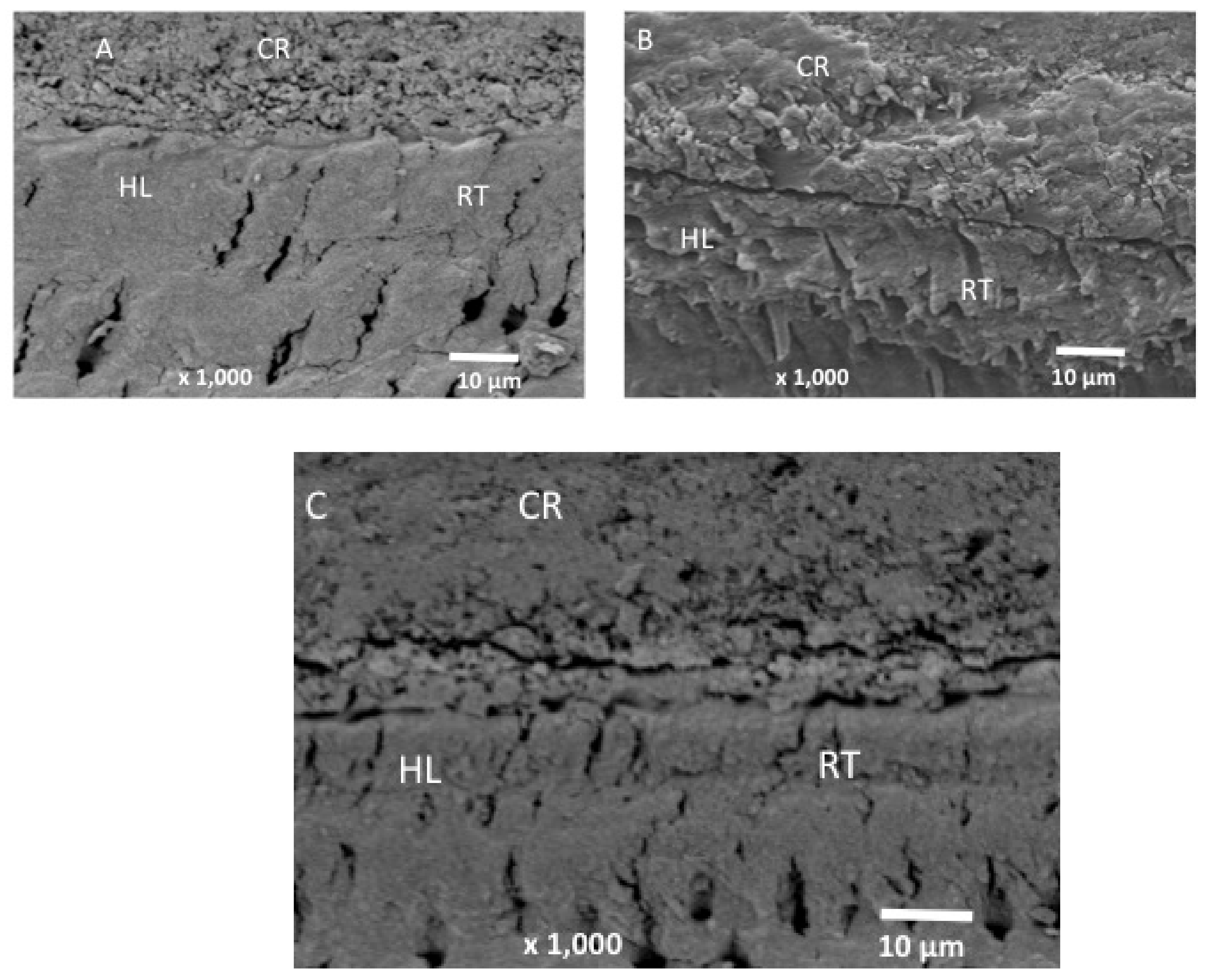 Nanomaterials 12 00853 g003