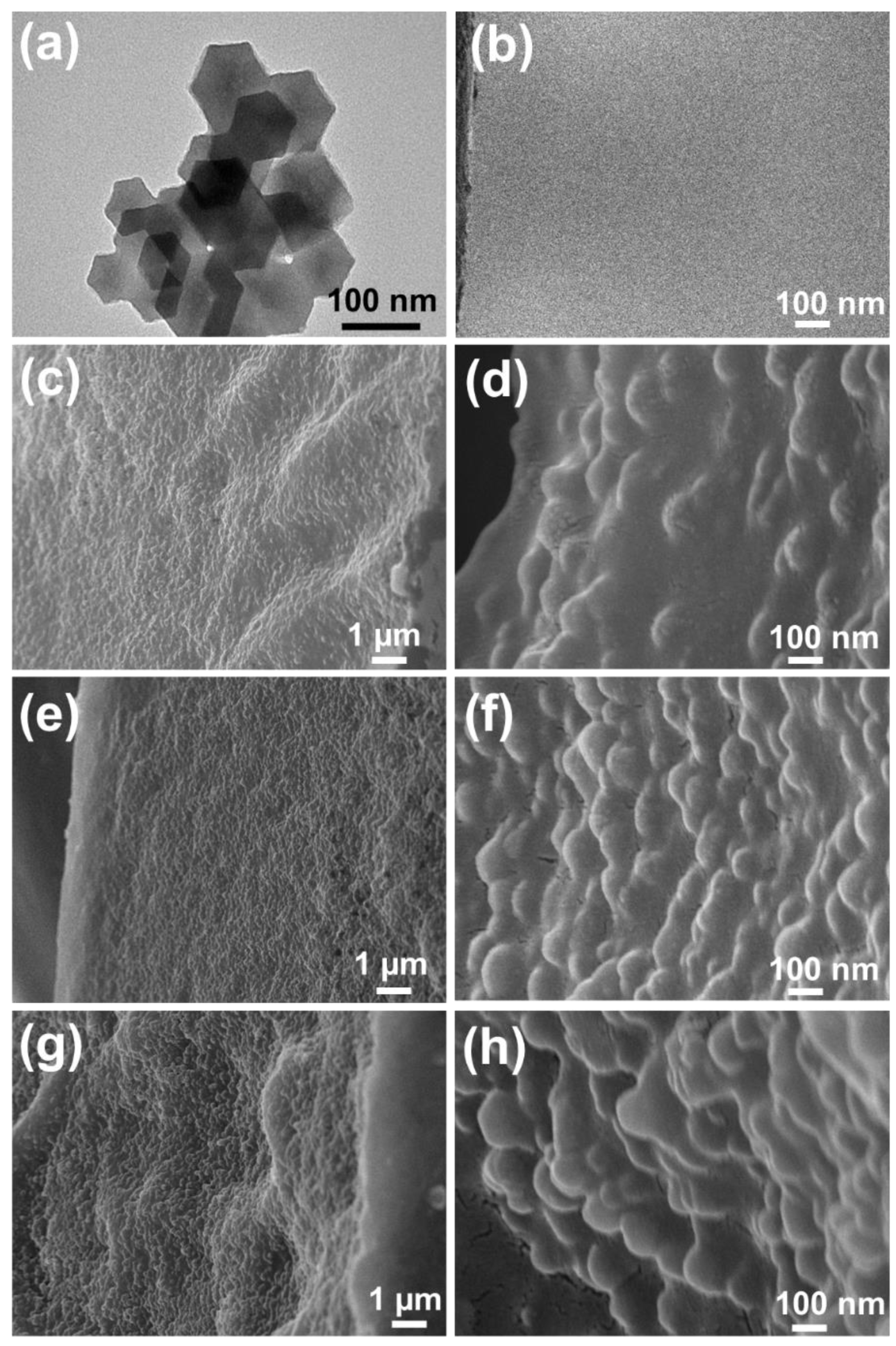 Nanomaterials 12 00865 g001