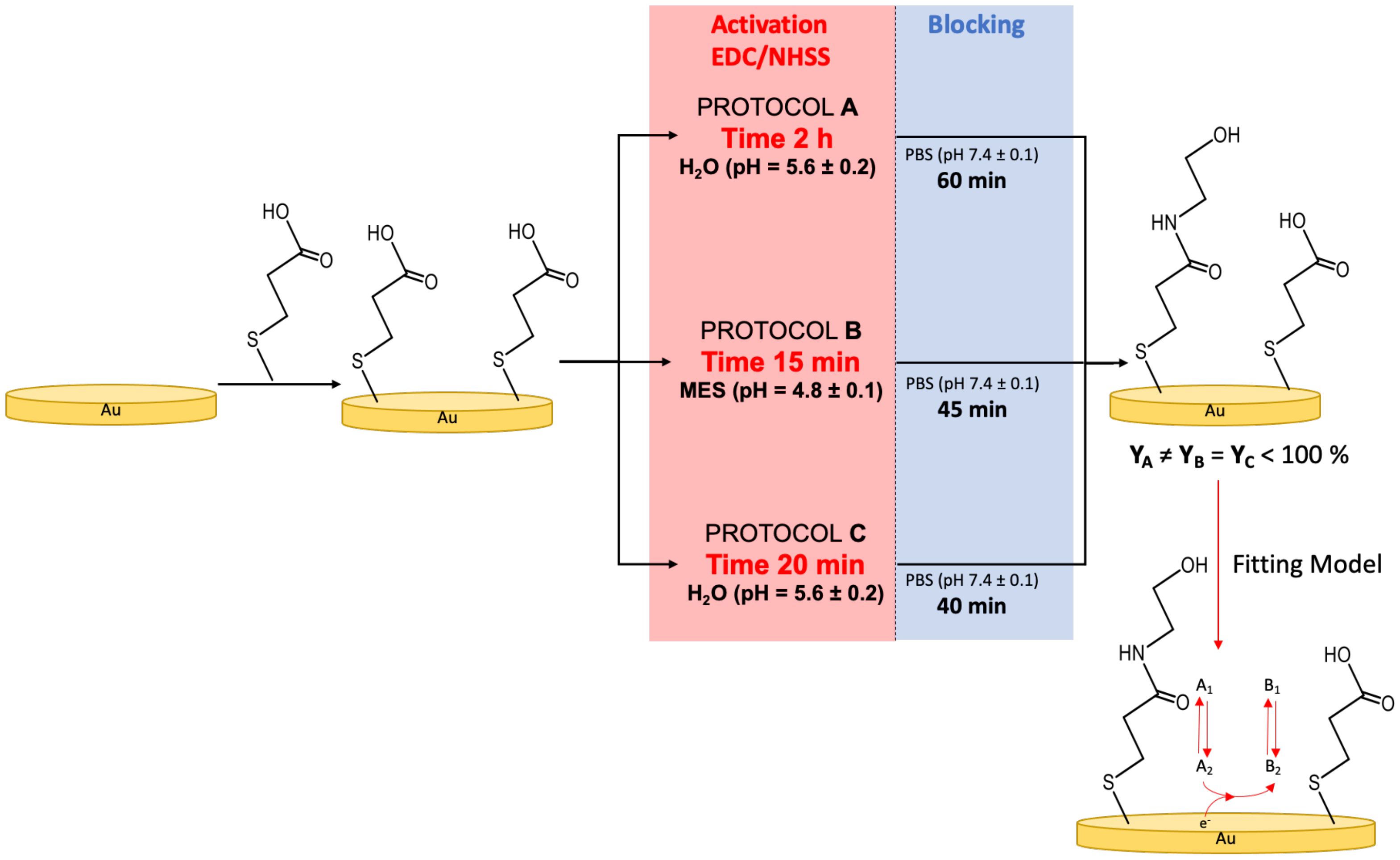 Nanomaterials 12 00867 g001